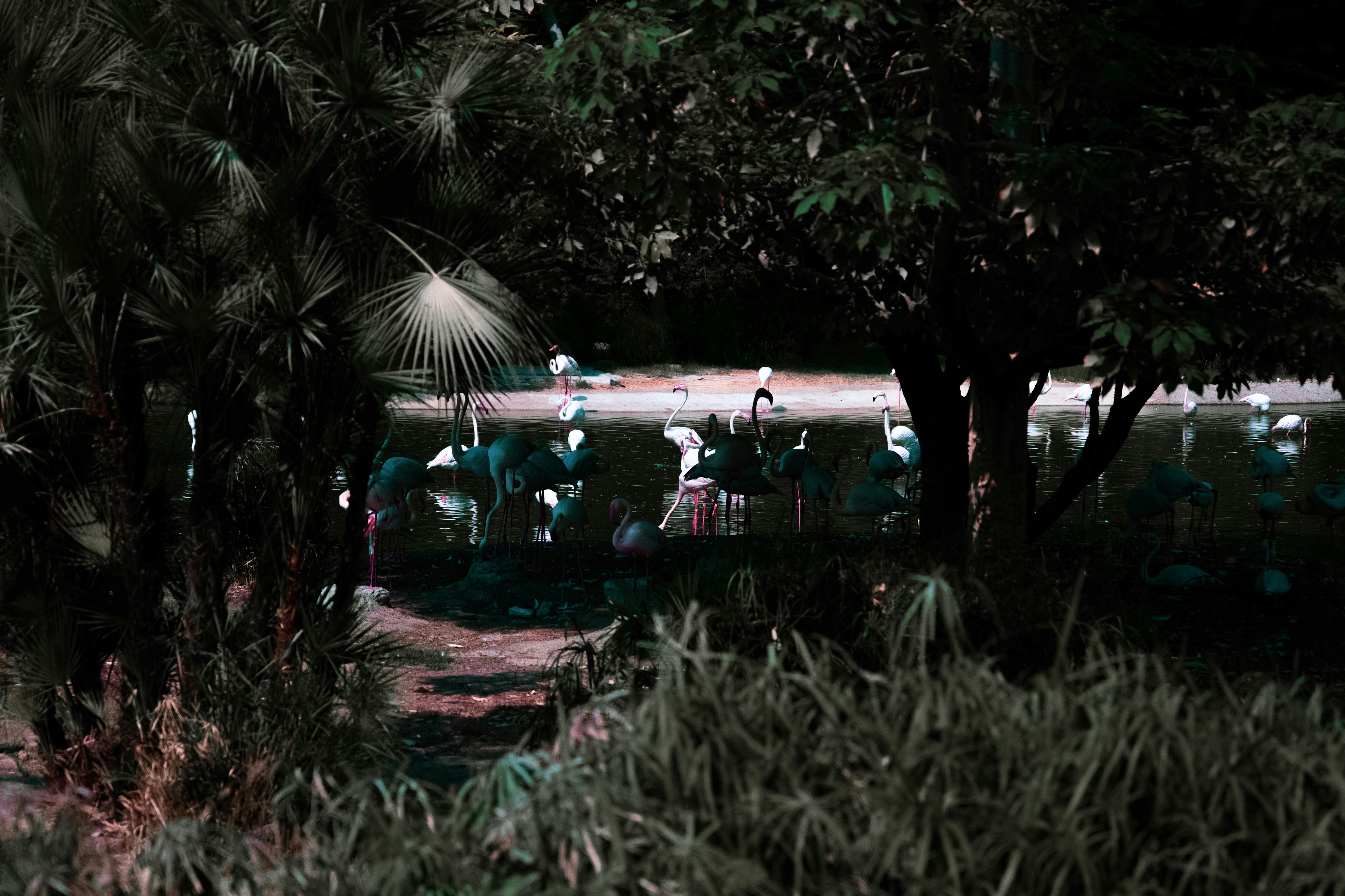 Photo by luanfonsecavisuals