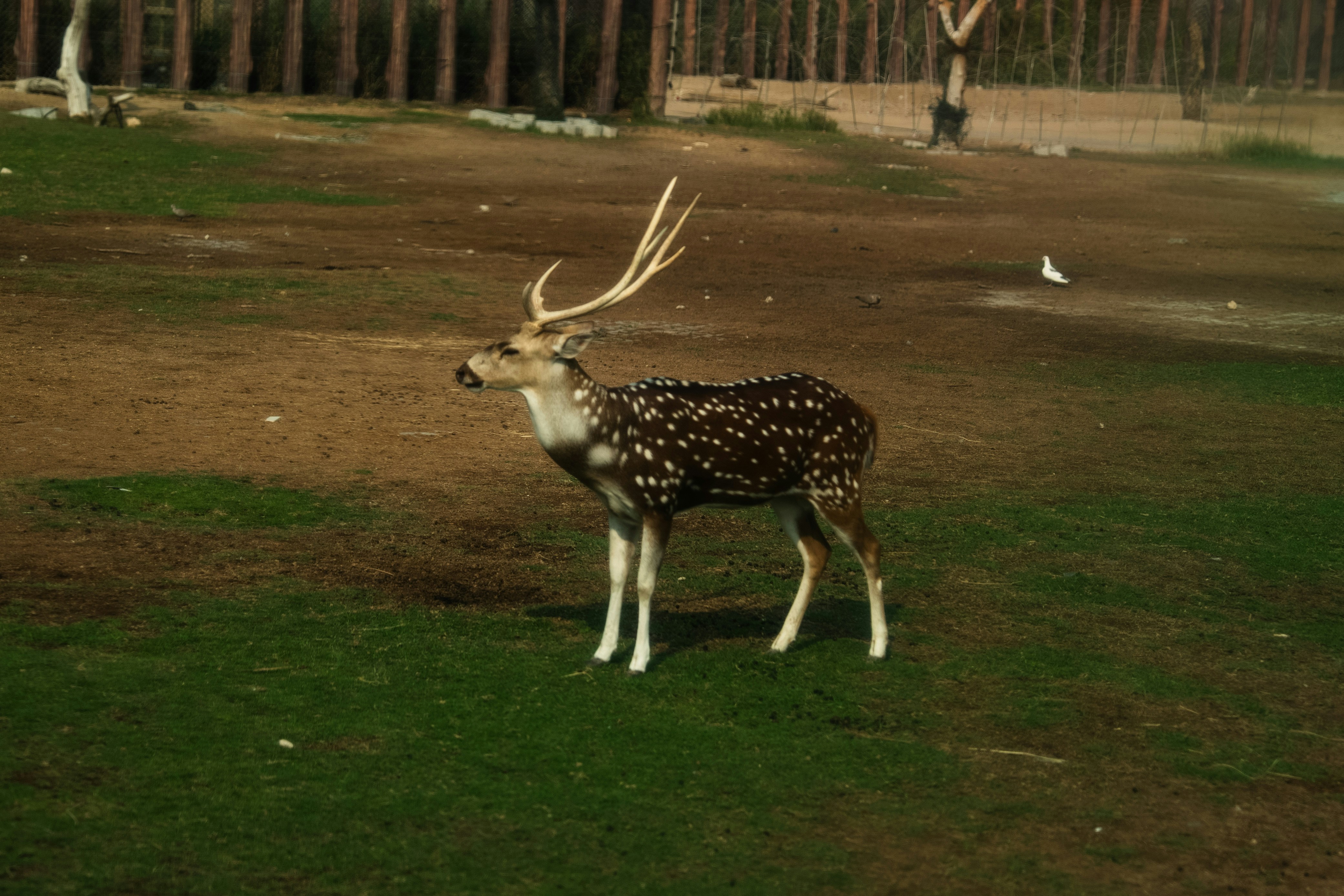 Photo by luanfonsecavisuals