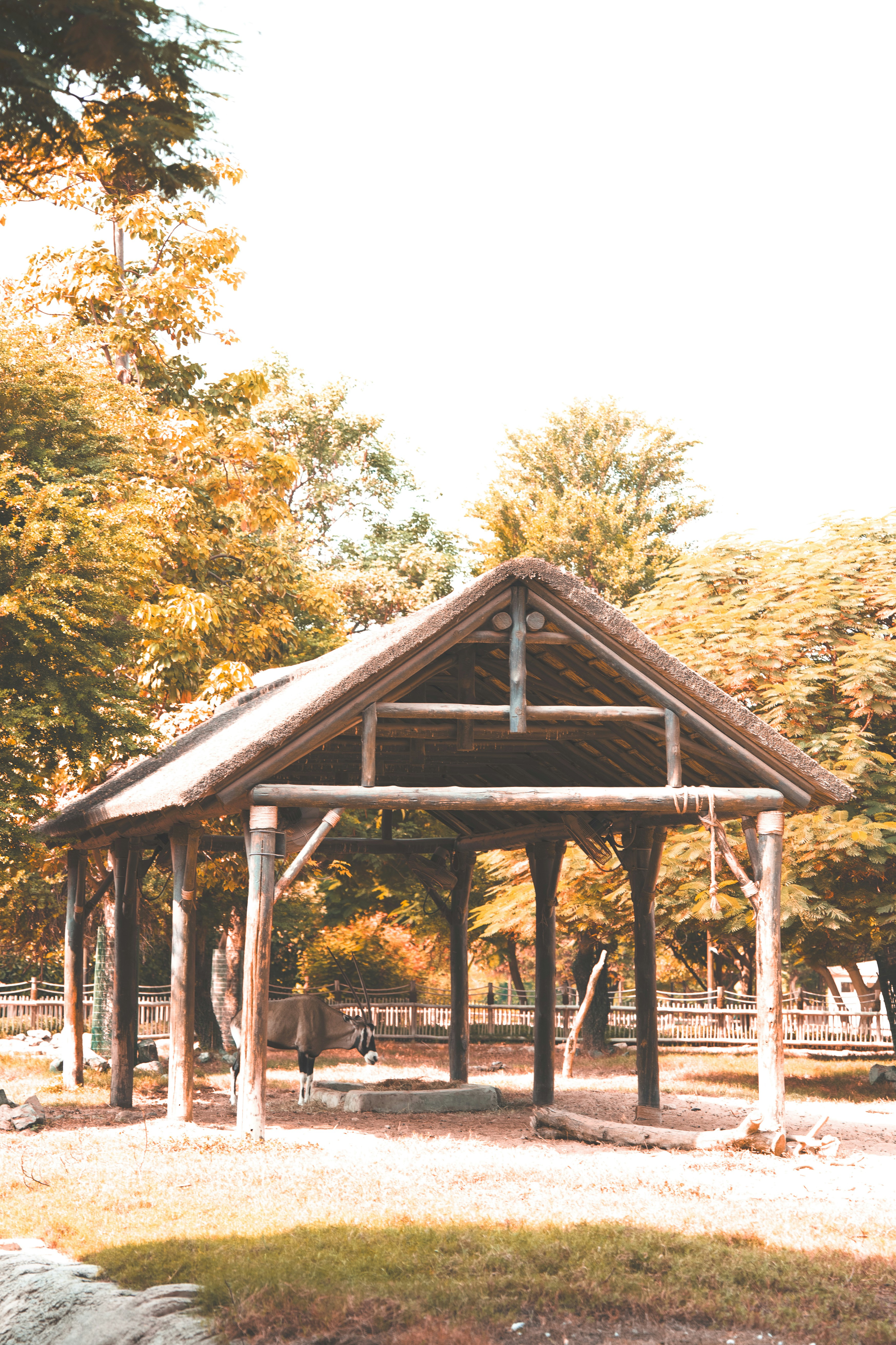 Photo by luanfonsecavisuals