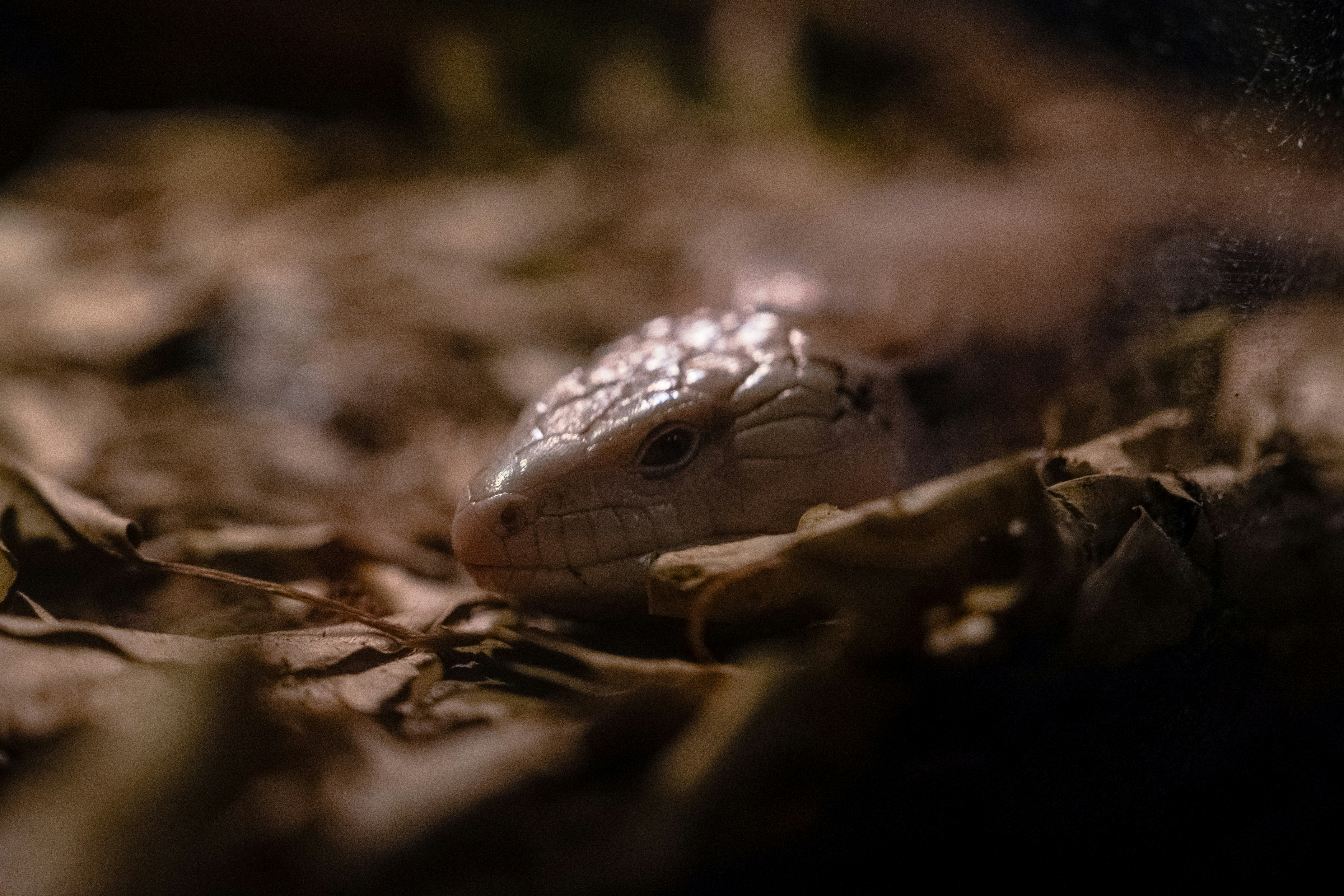 Photo by luanfonsecavisuals