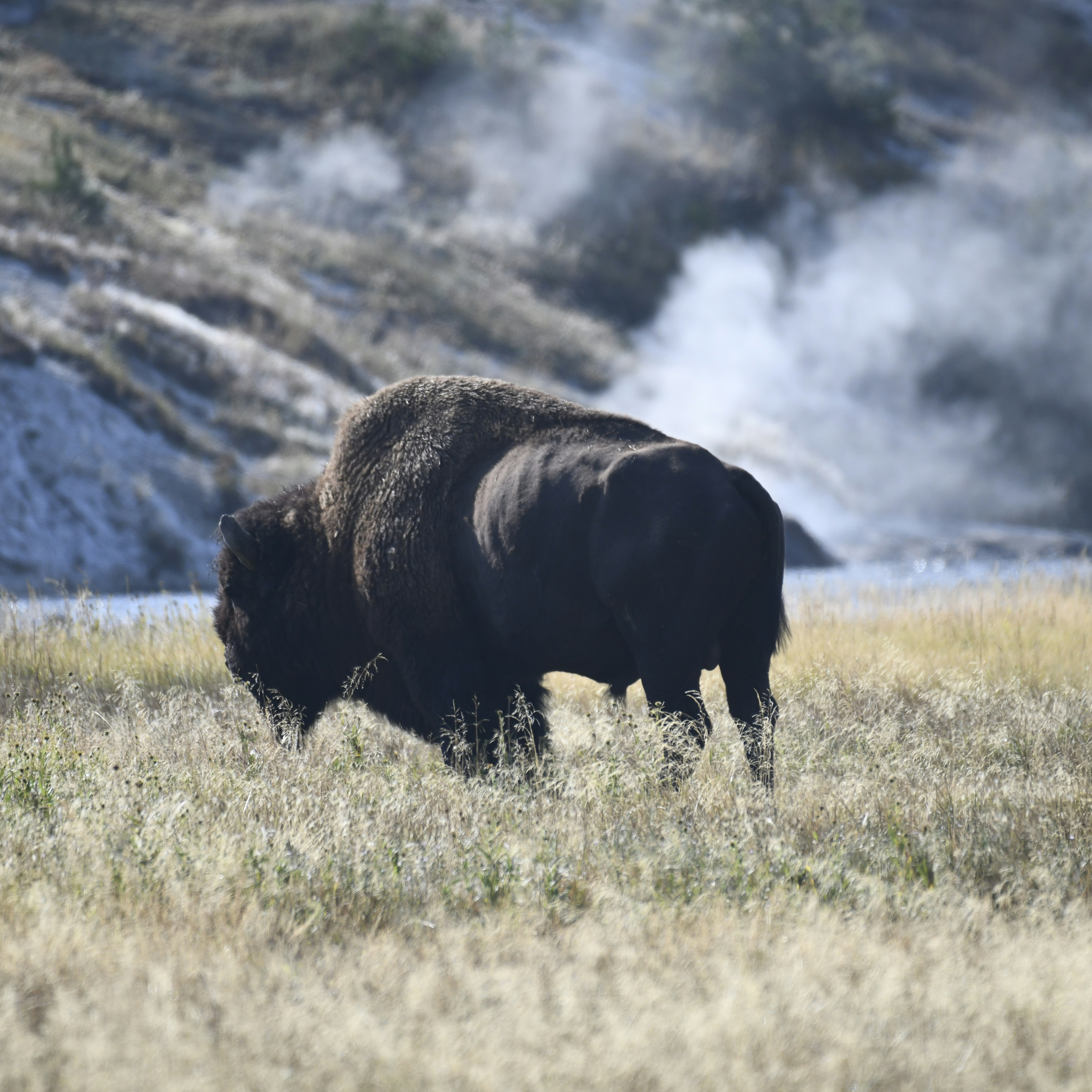 Photo by openclassactions_com