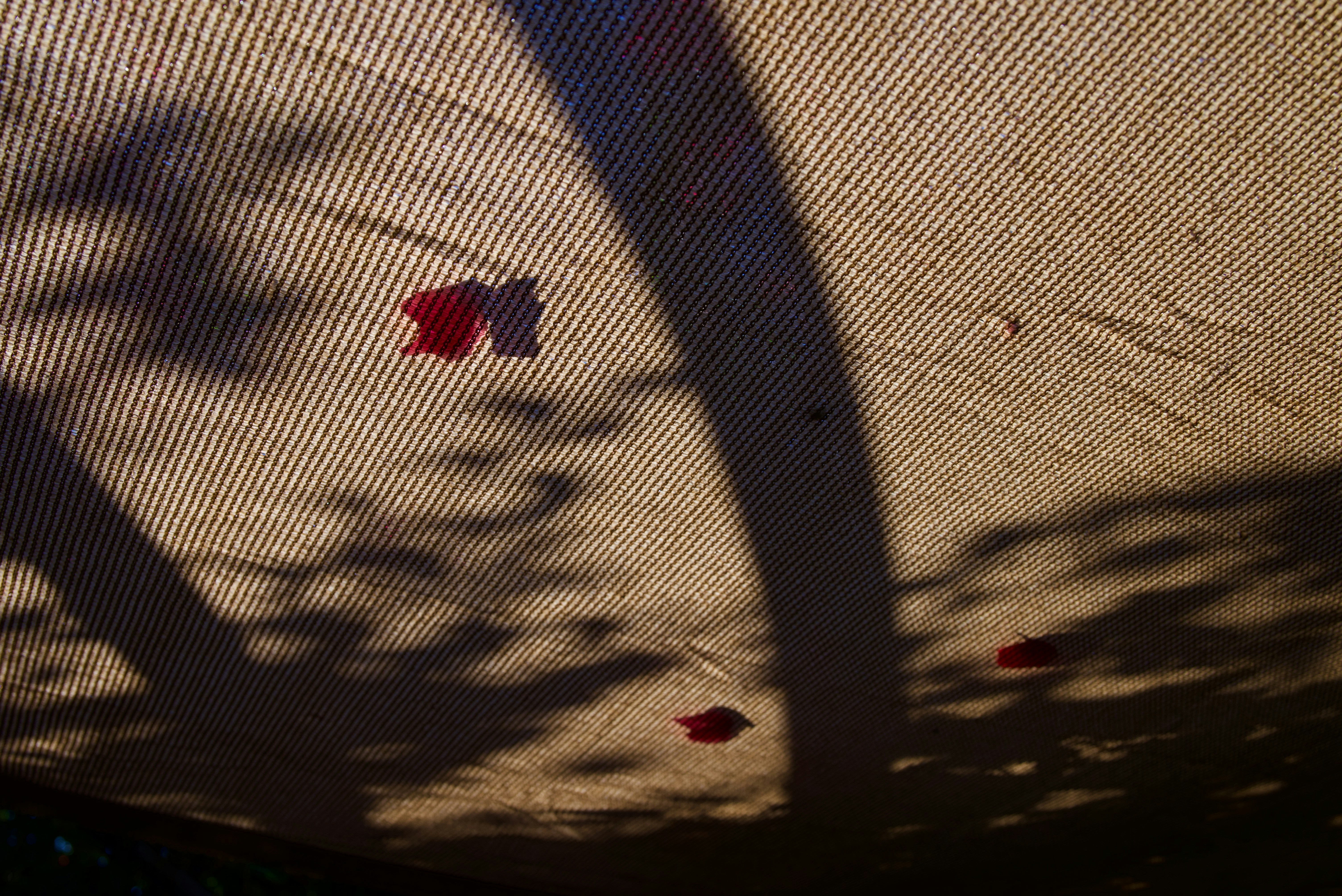 Shadows and red leaves on a textured surface.