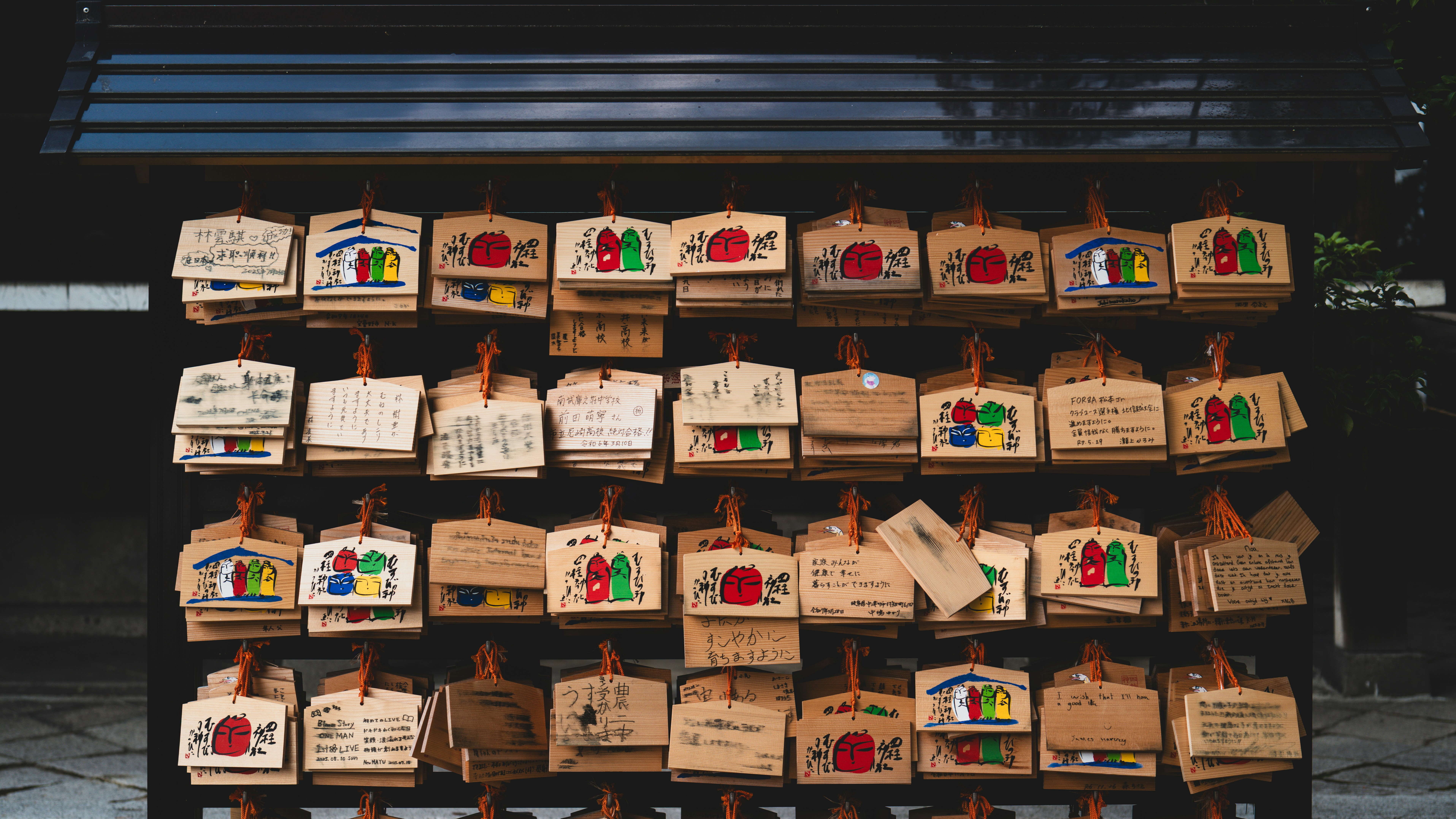 Photo by nunoviegasalves