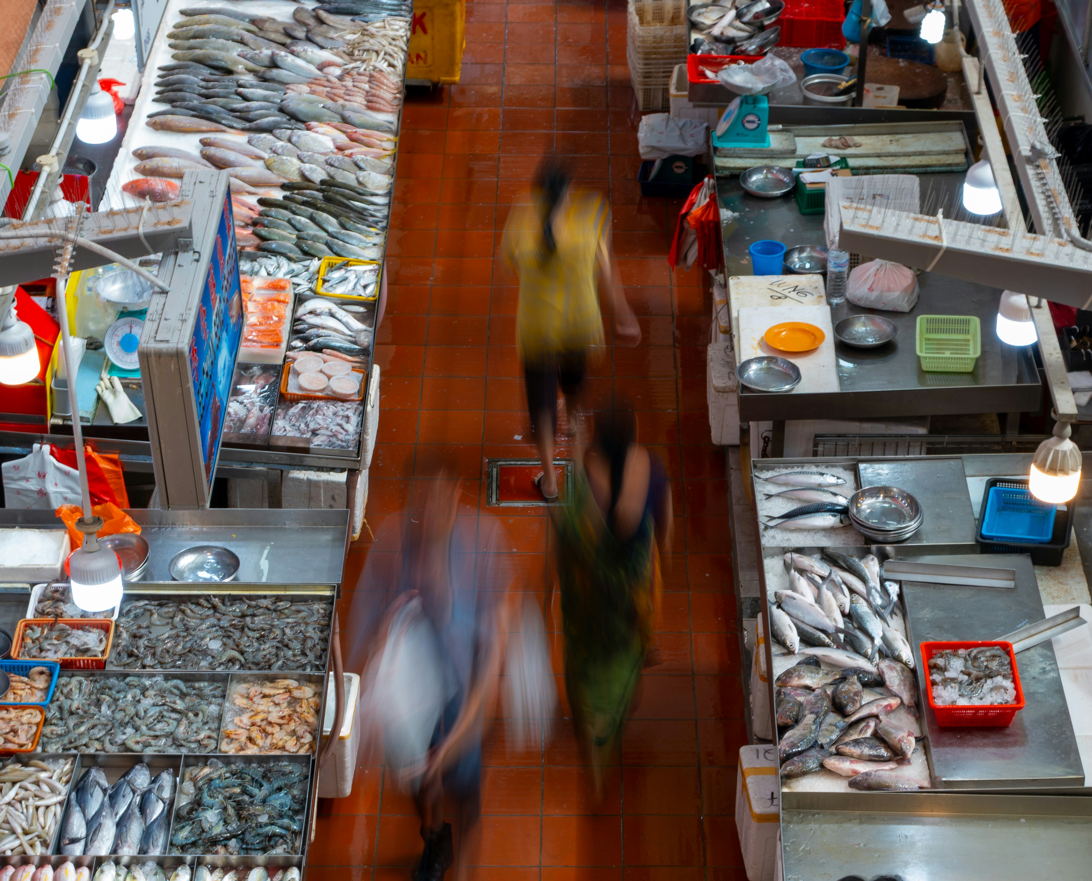 Busy fish market