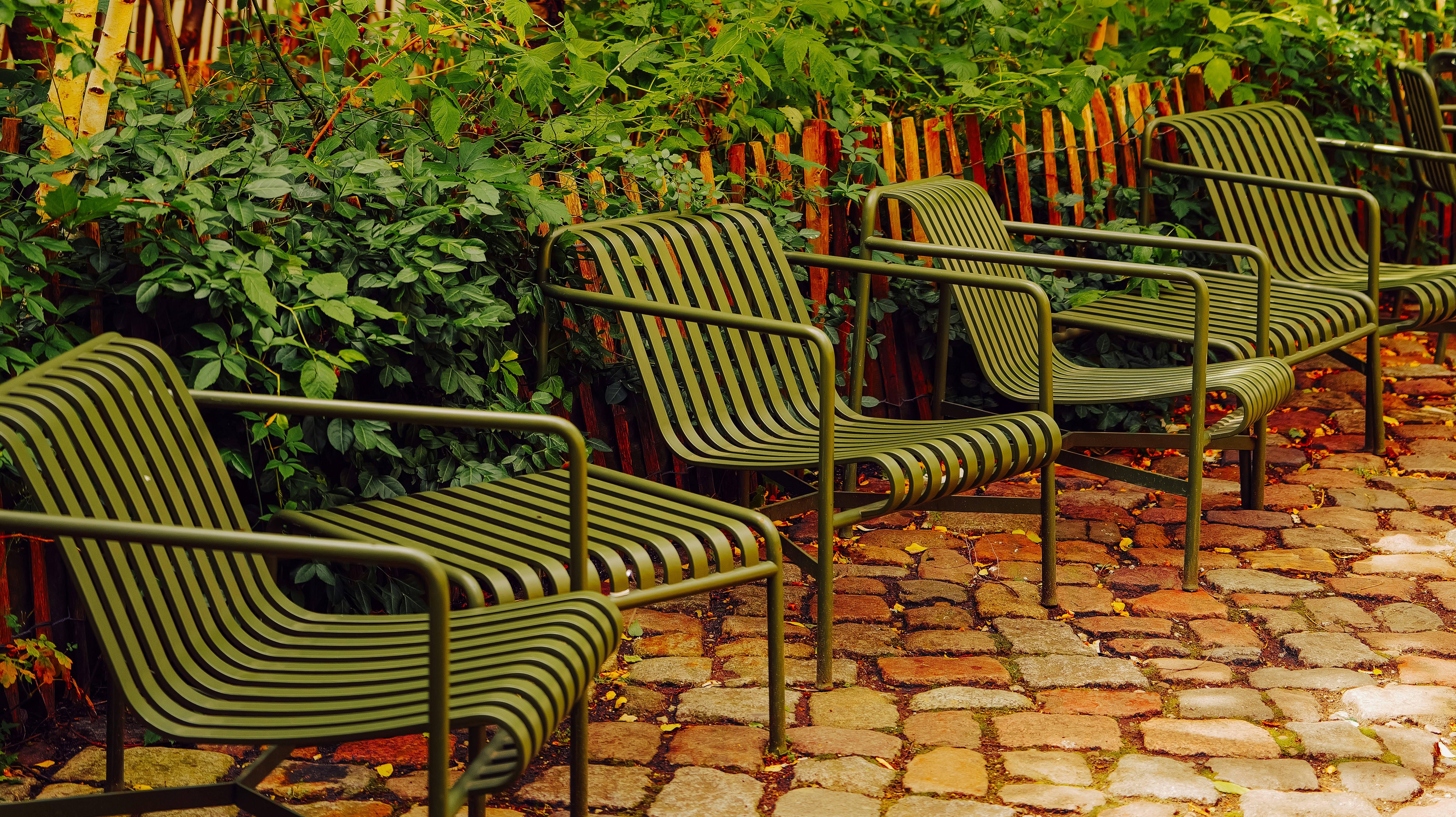 Photo by nunoviegasalves