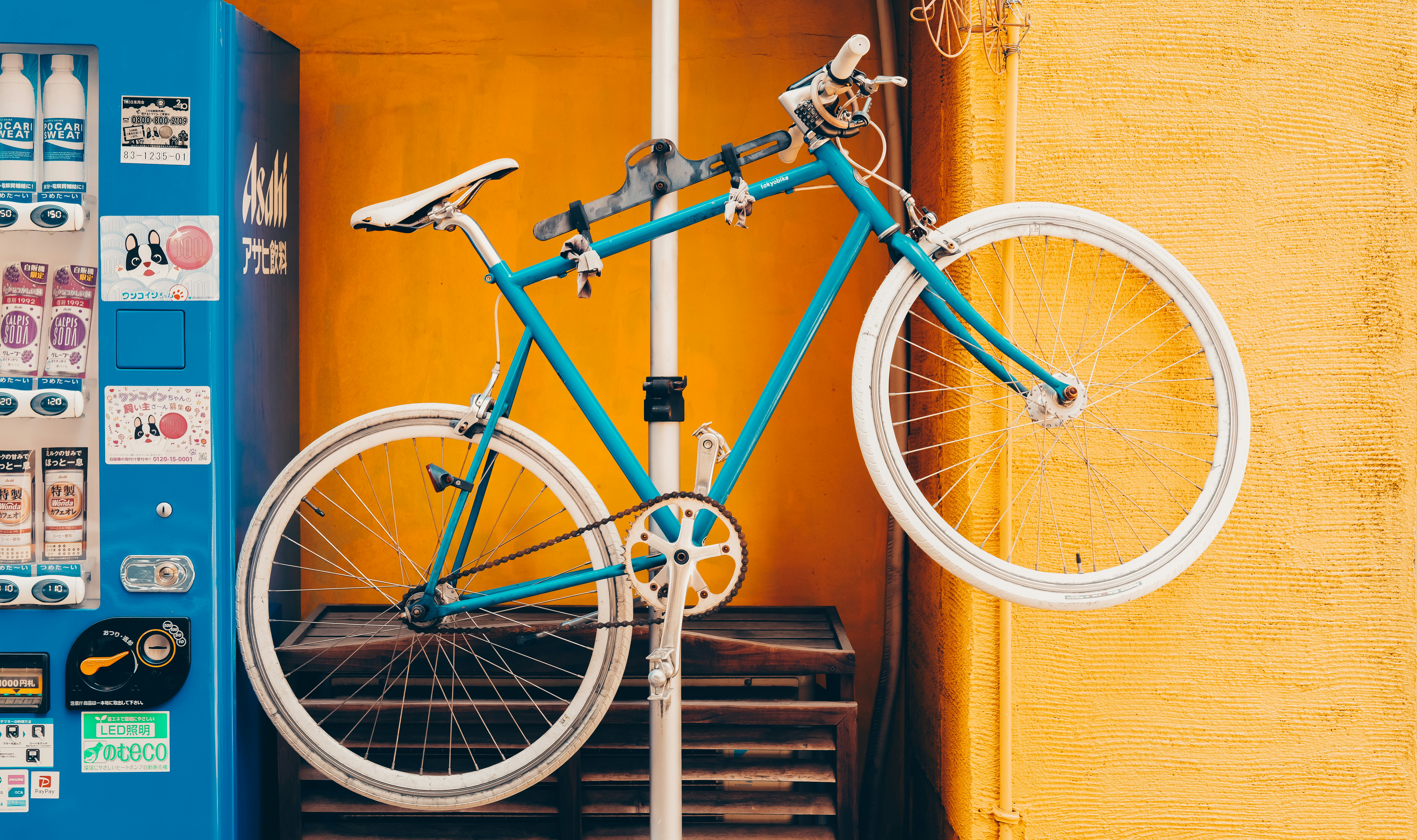 Photo by nunoviegasalves