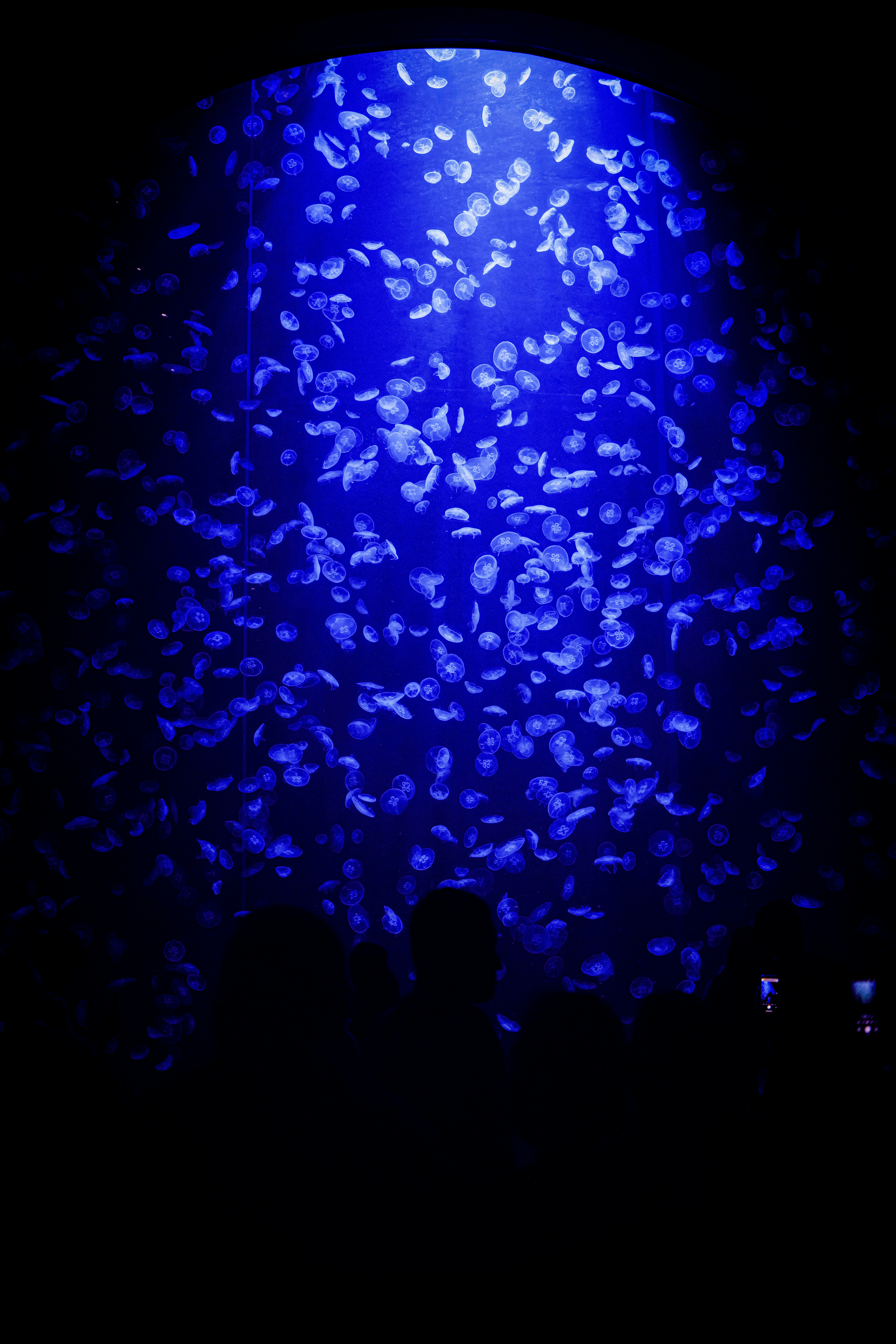 Photo by nunoviegasalves