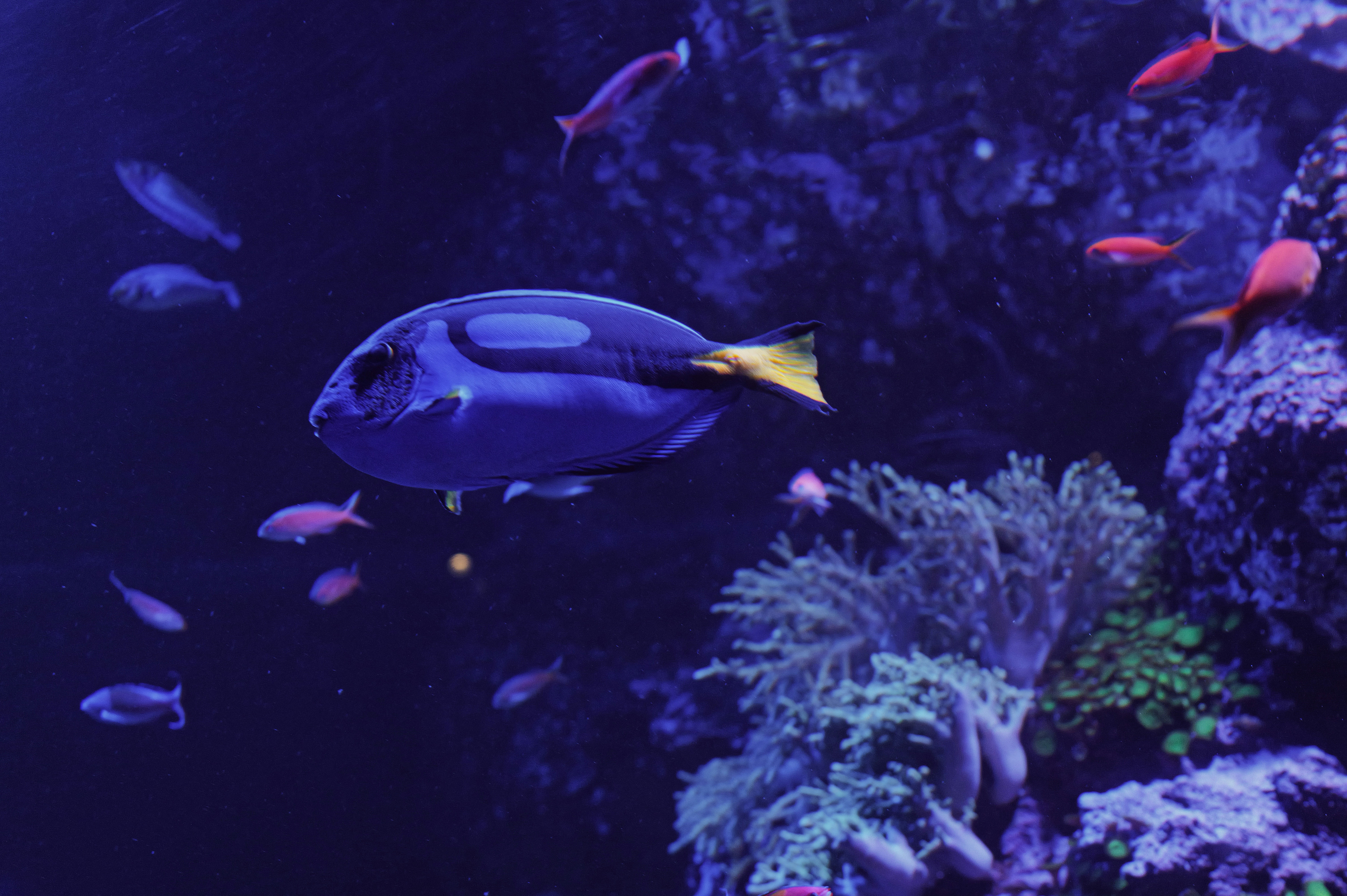 Photo by nunoviegasalves