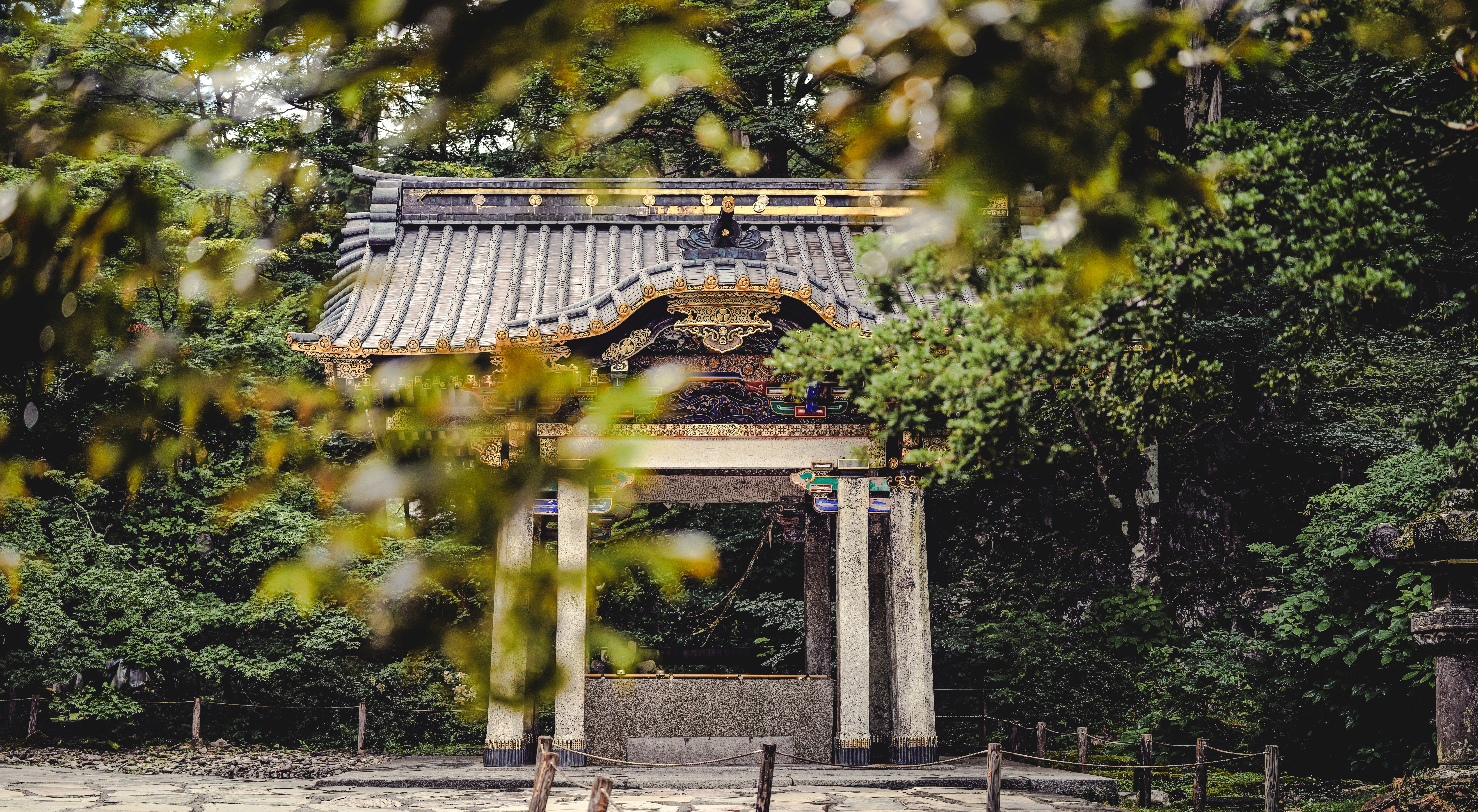 Photo by nunoviegasalves