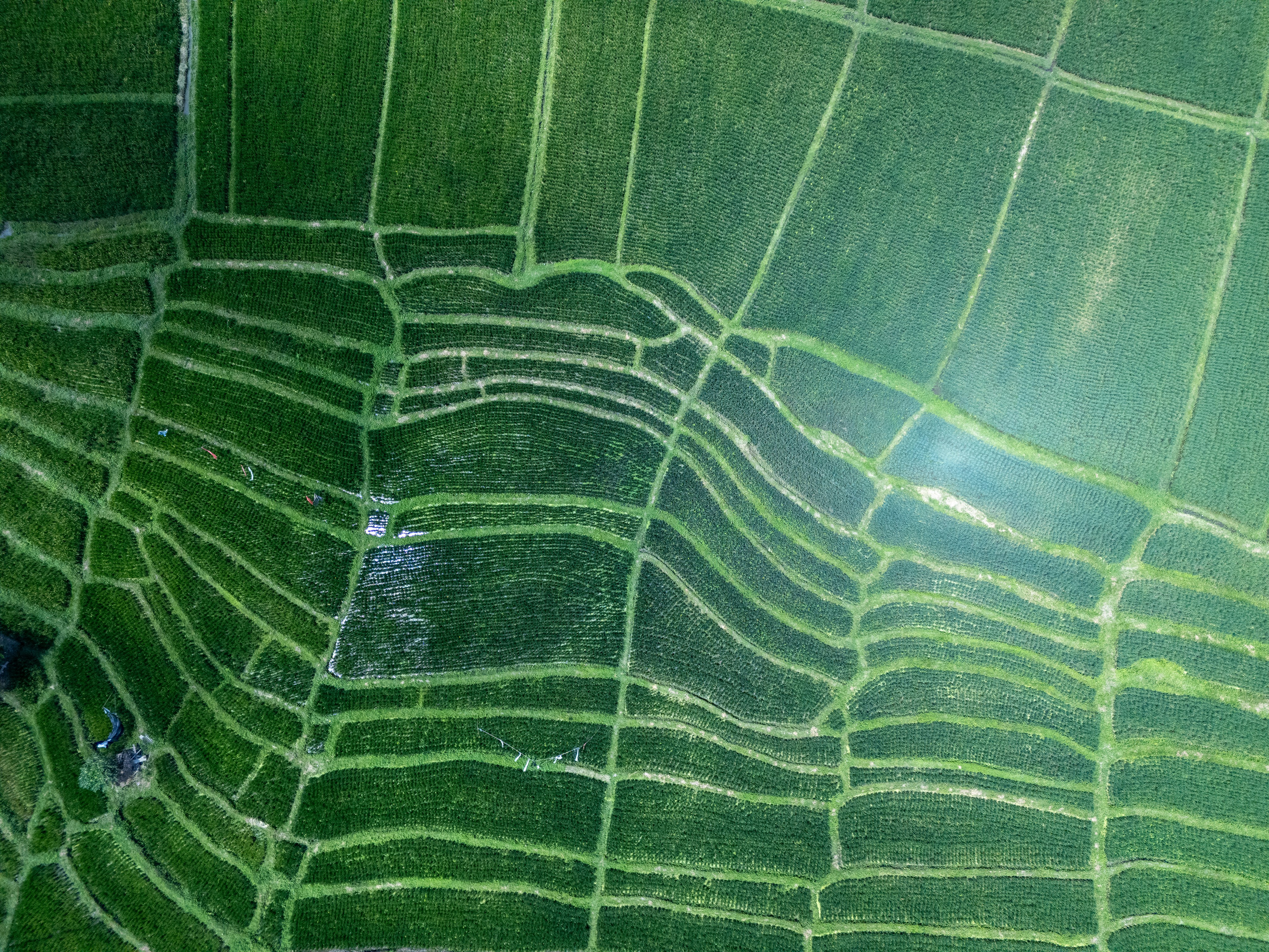 Photo by nunoviegasalves