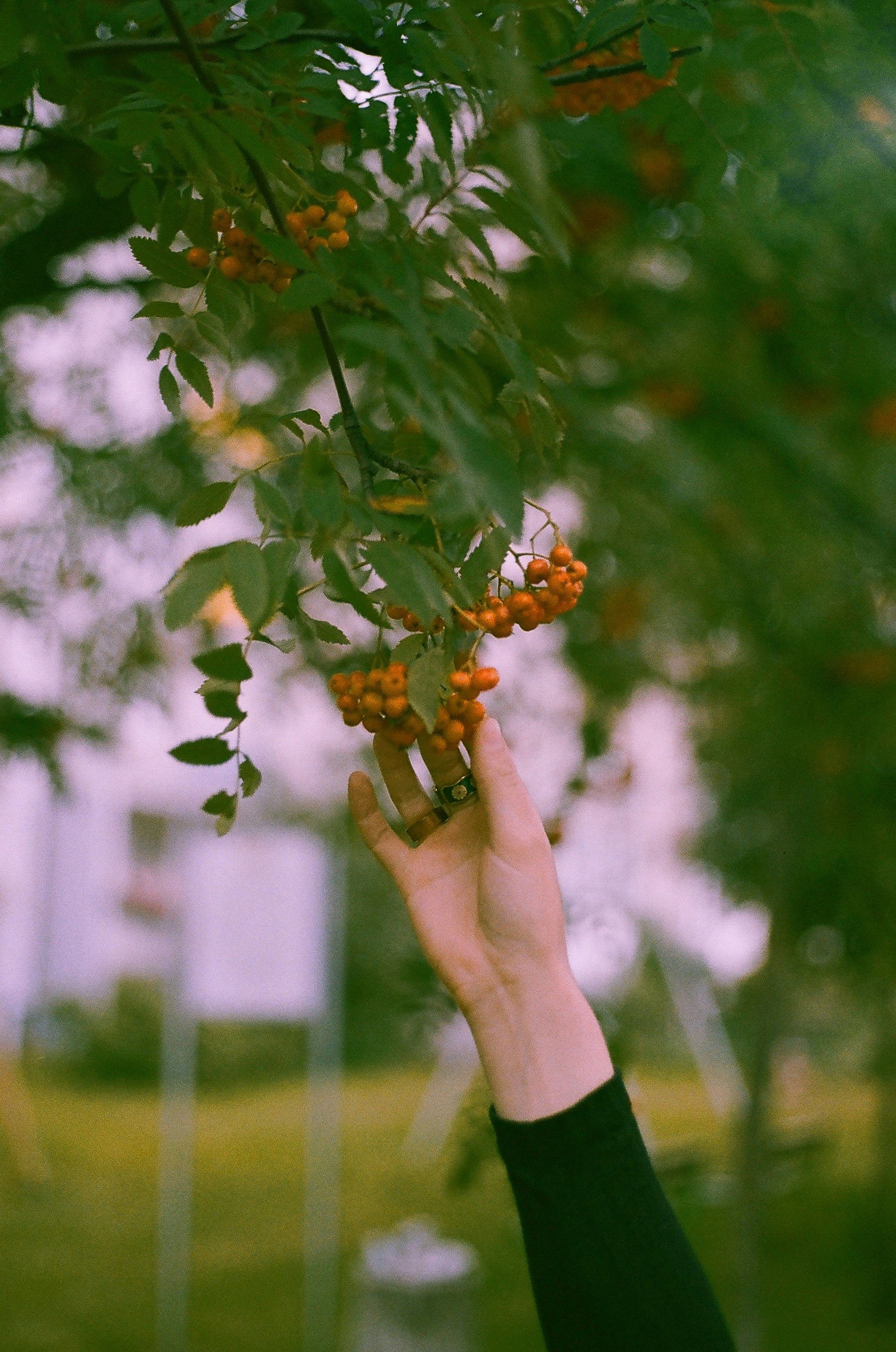 Photo by aucoeurdumonstre
