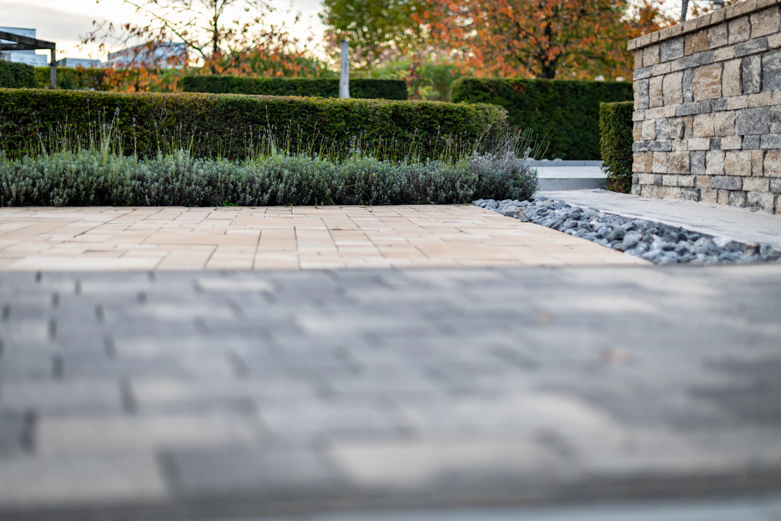 A modern stone garden pathway bordered by a low stone wall and clipped hedges at the Barton Hills Residence.