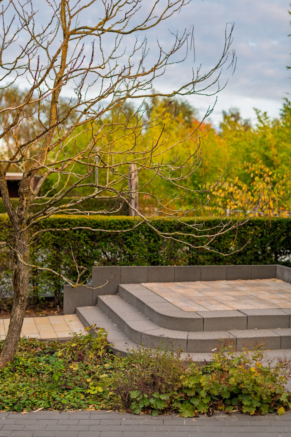 Curved natural stone steps winding through a layered garden with flowering shrubs and ornamental grasses
