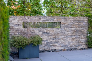 Stone wall with plants and a narrow window.