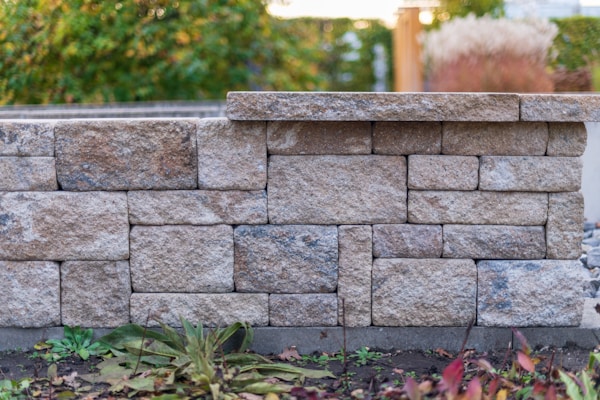 Stone retaining wall with plants