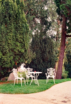 White metal table and chairs in a garden setting.