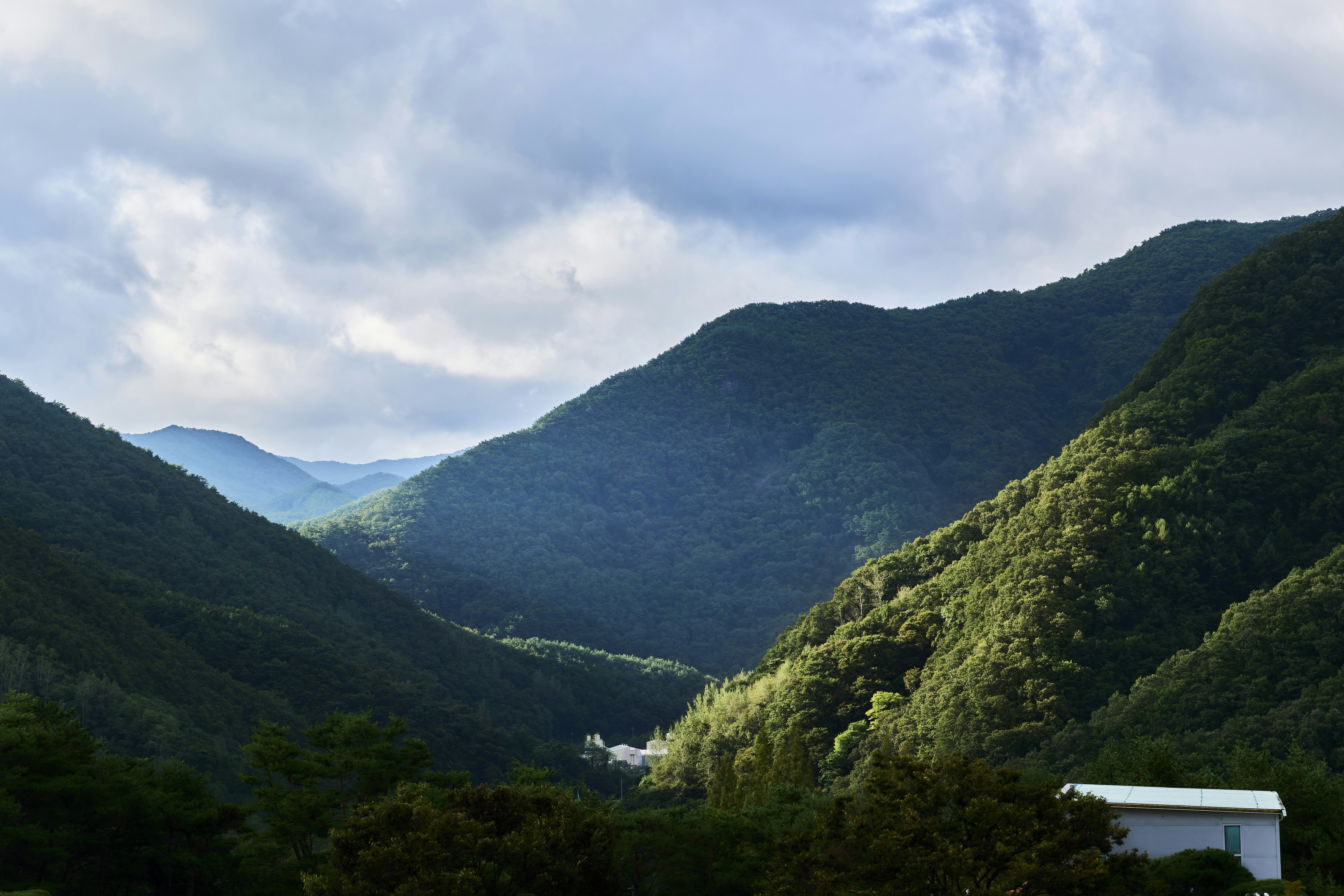 Photo by zewwo