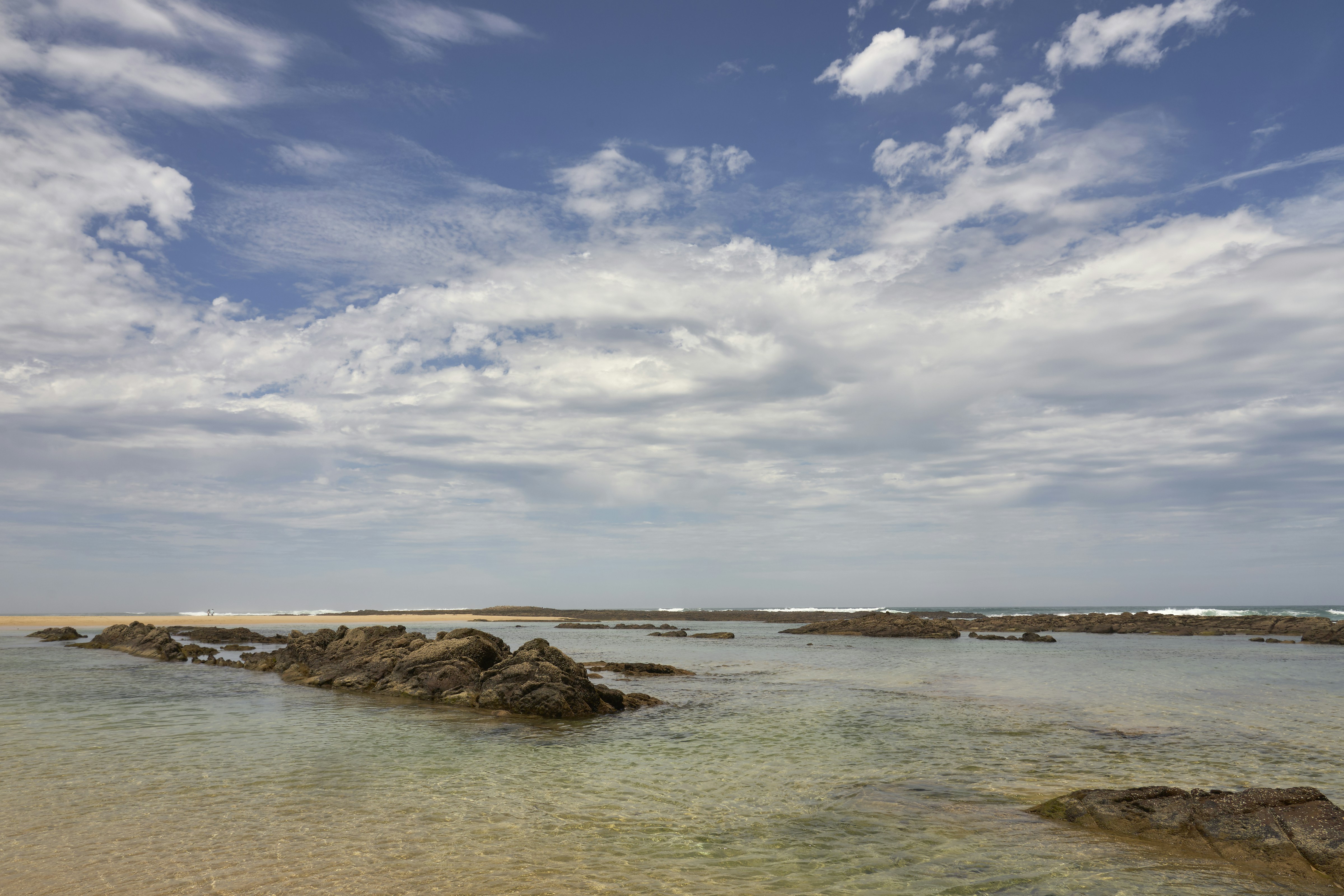 Photo by wolfgang_hasselmann