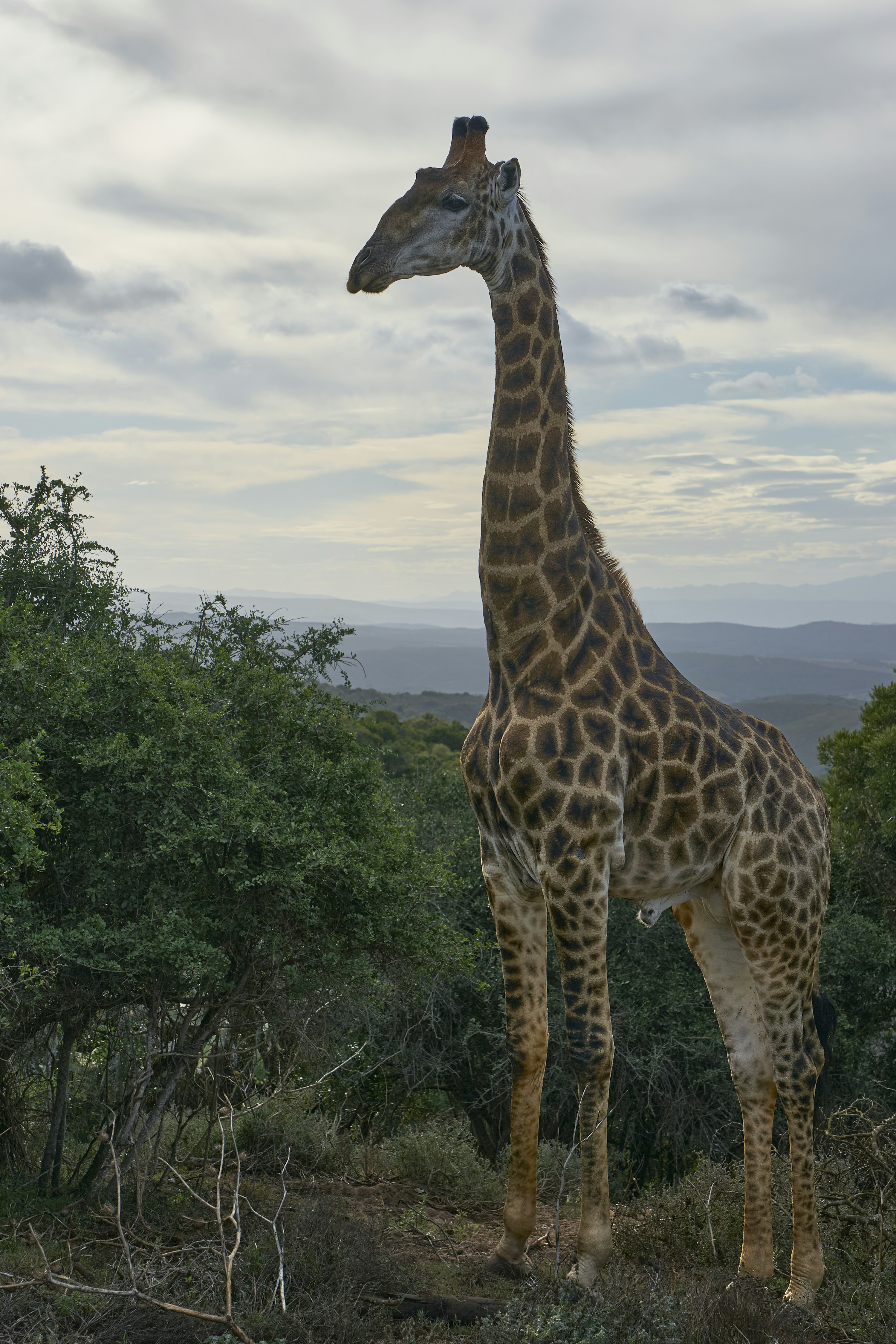 Photo by wolfgang_hasselmann