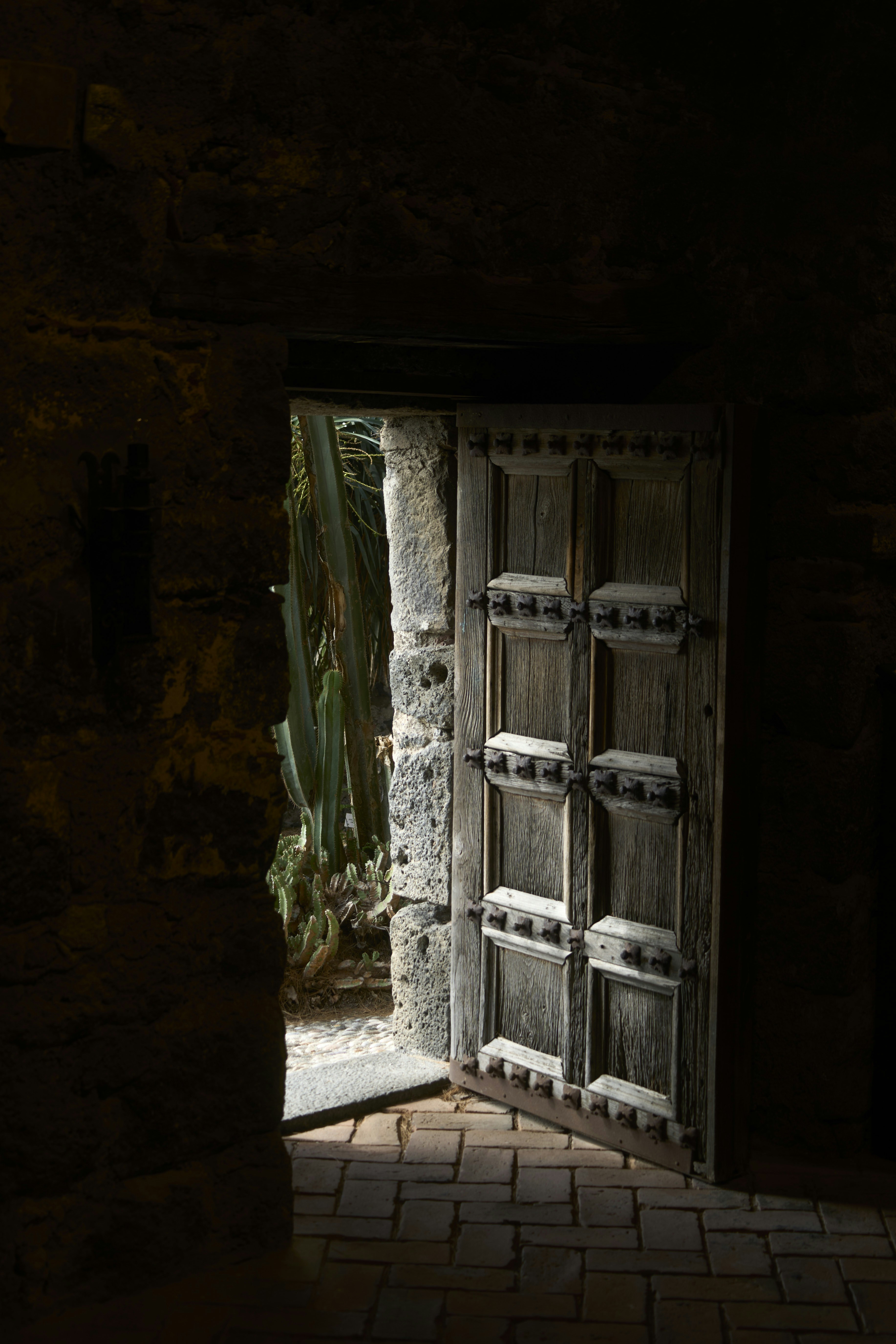 Photo by wolfgang_hasselmann