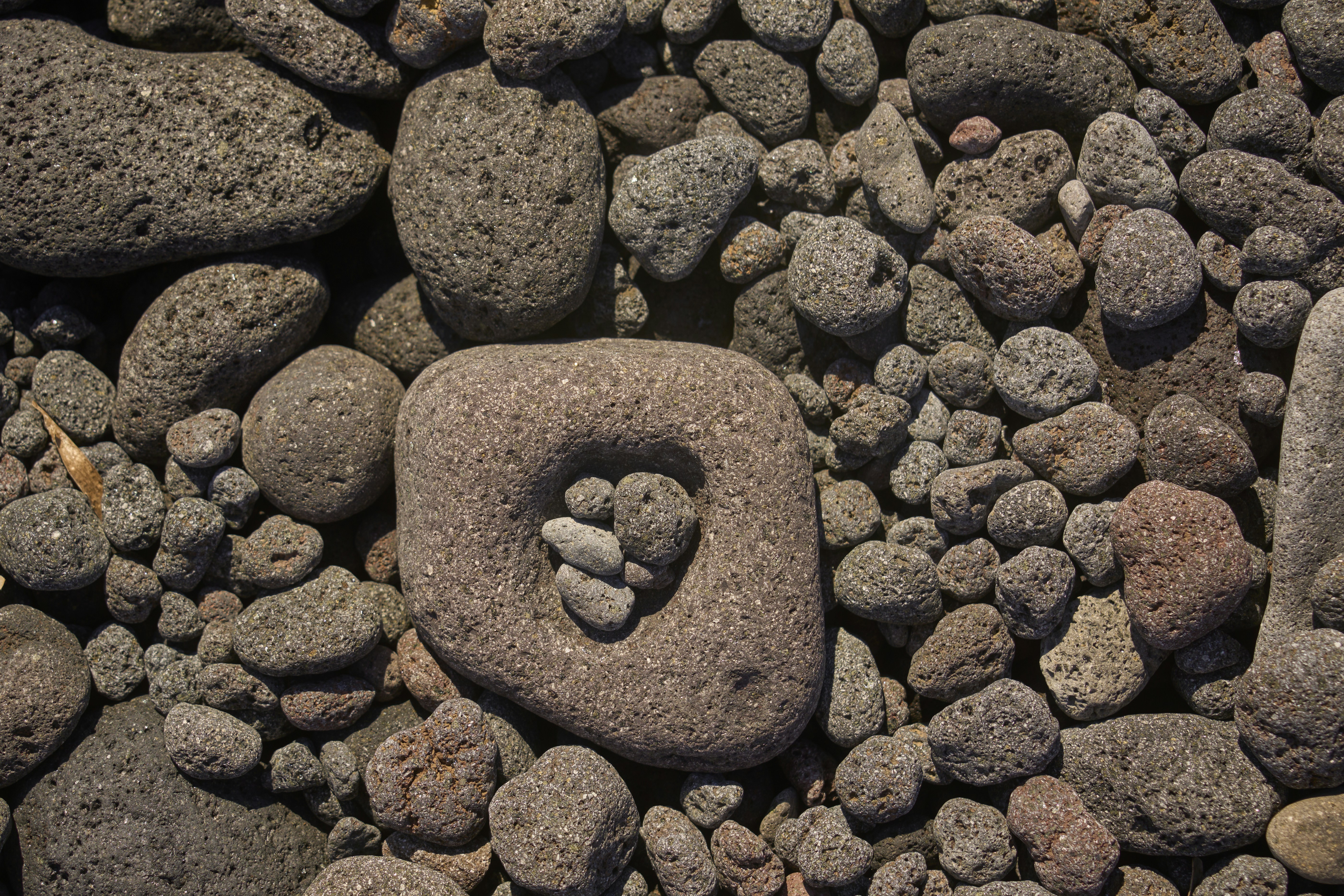 Photo by wolfgang_hasselmann