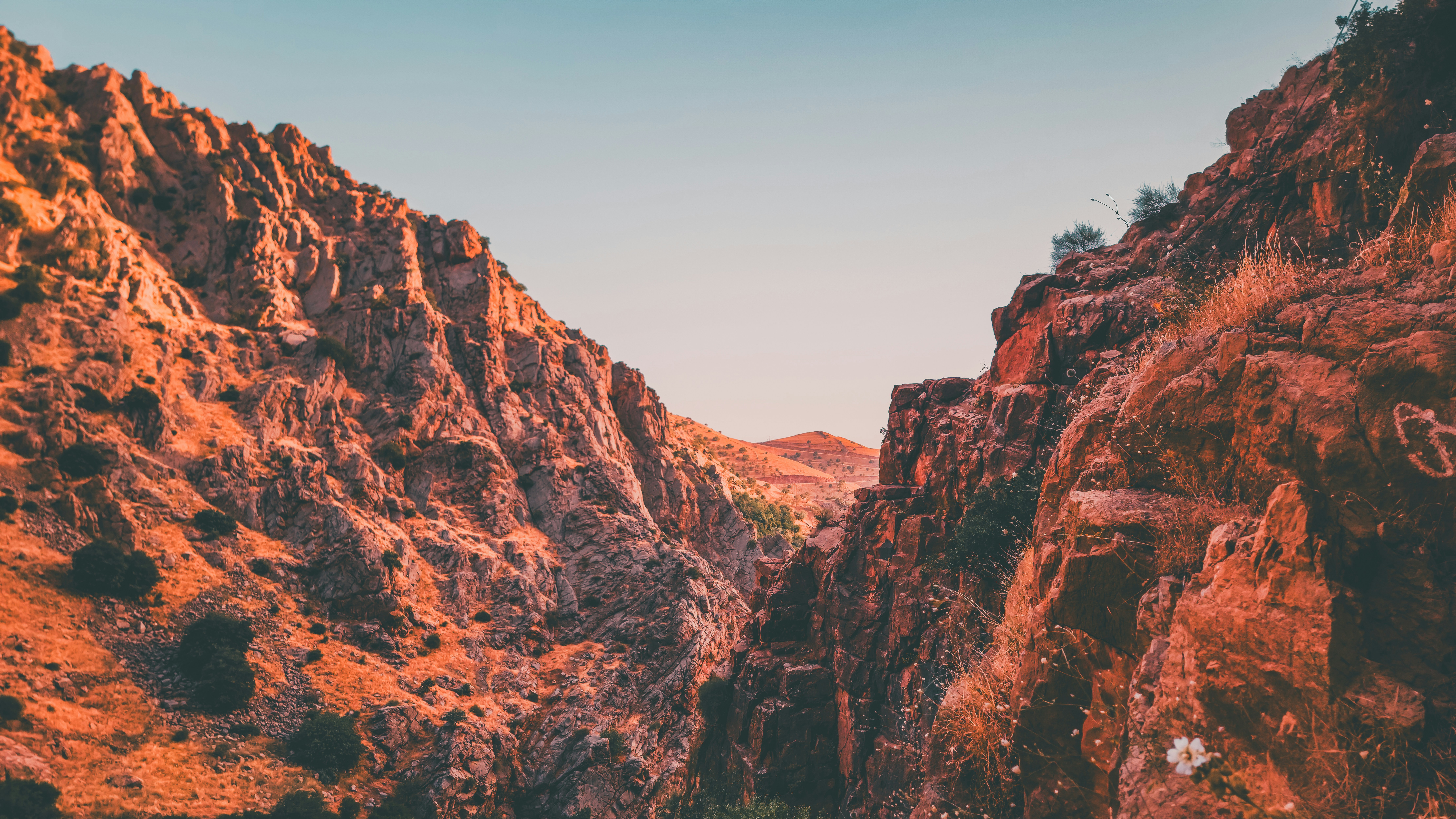 Photo by hama_assets