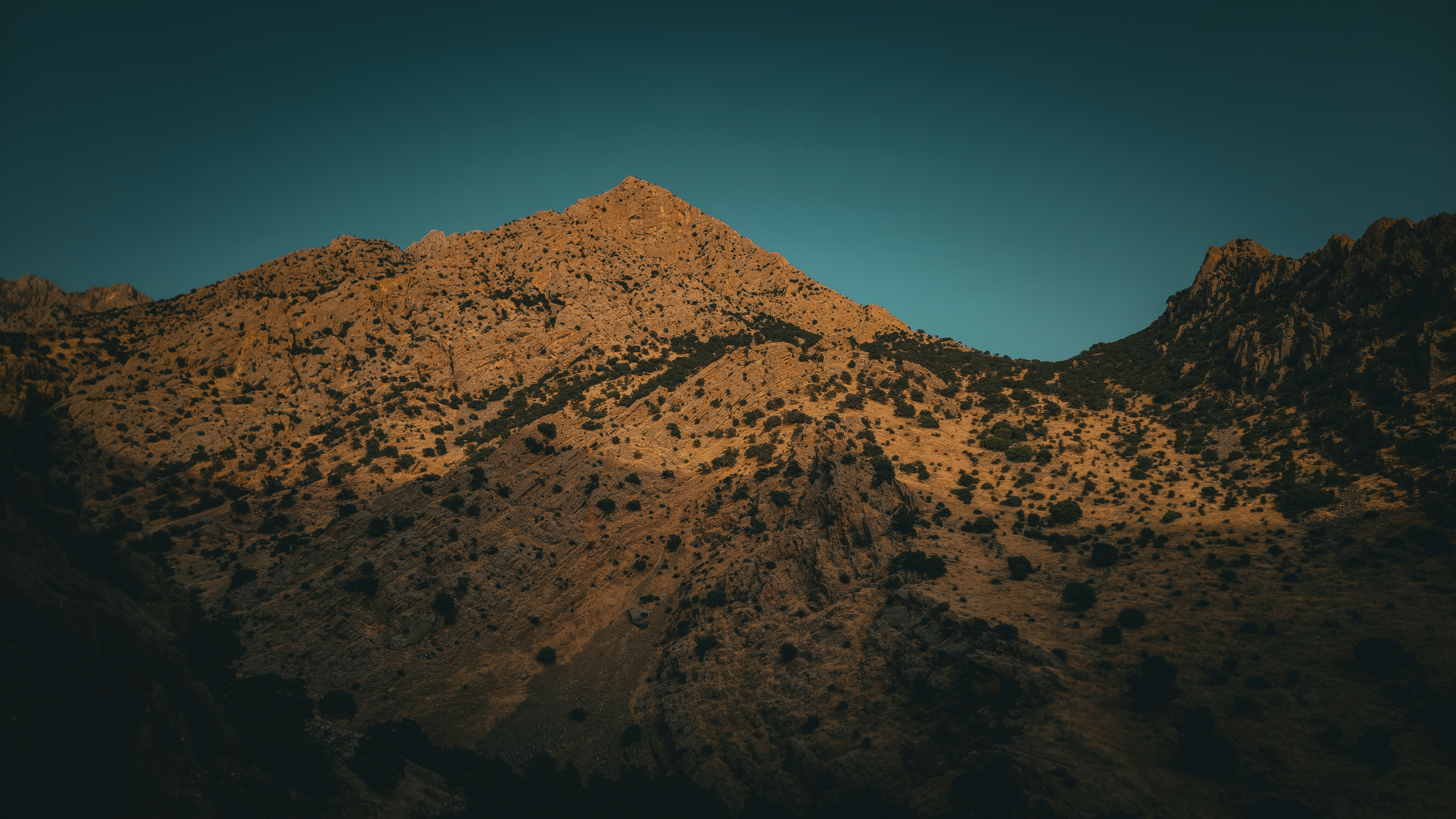 Photo by hama_assets