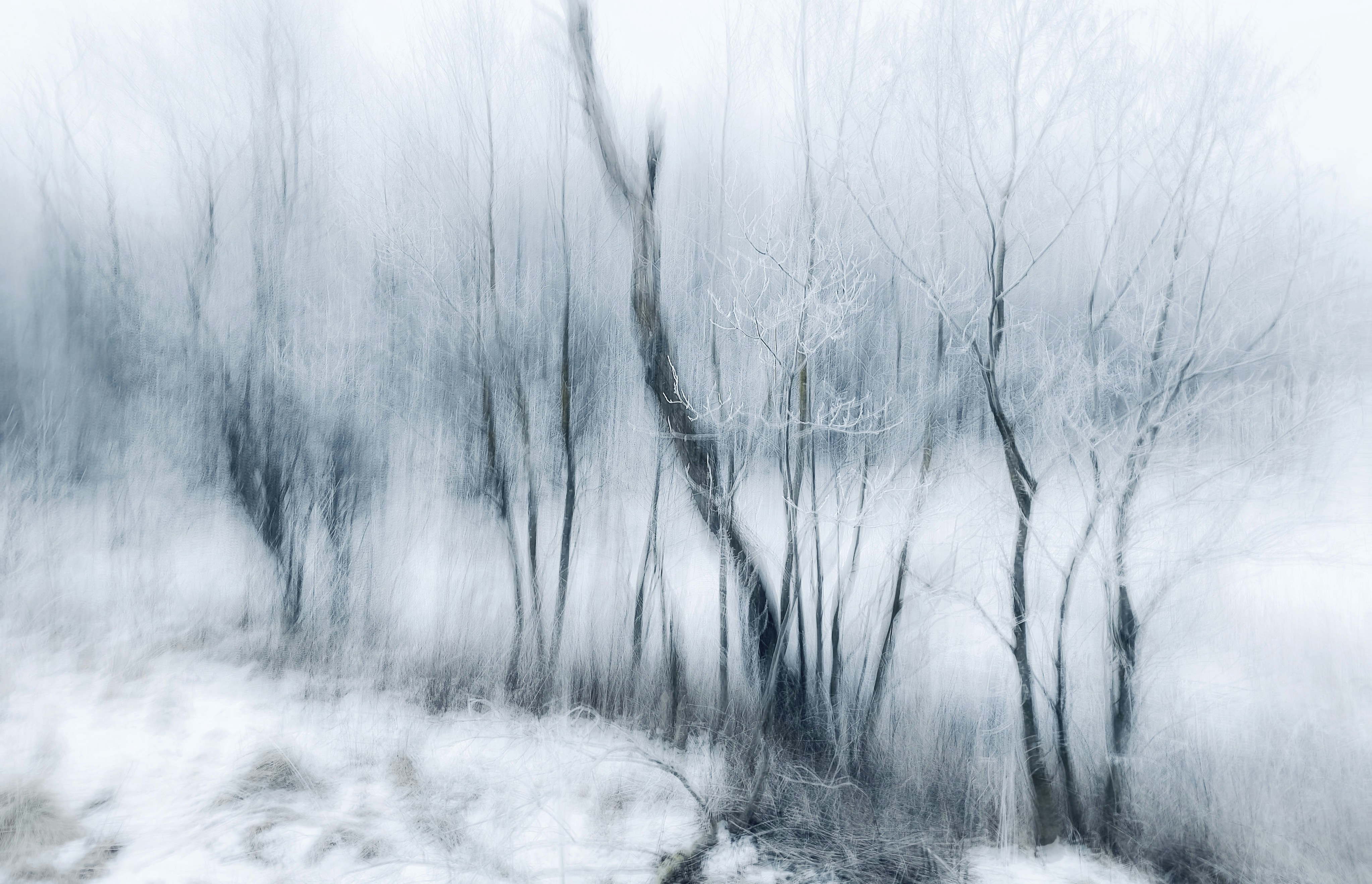 Photo by eugene_golovesov