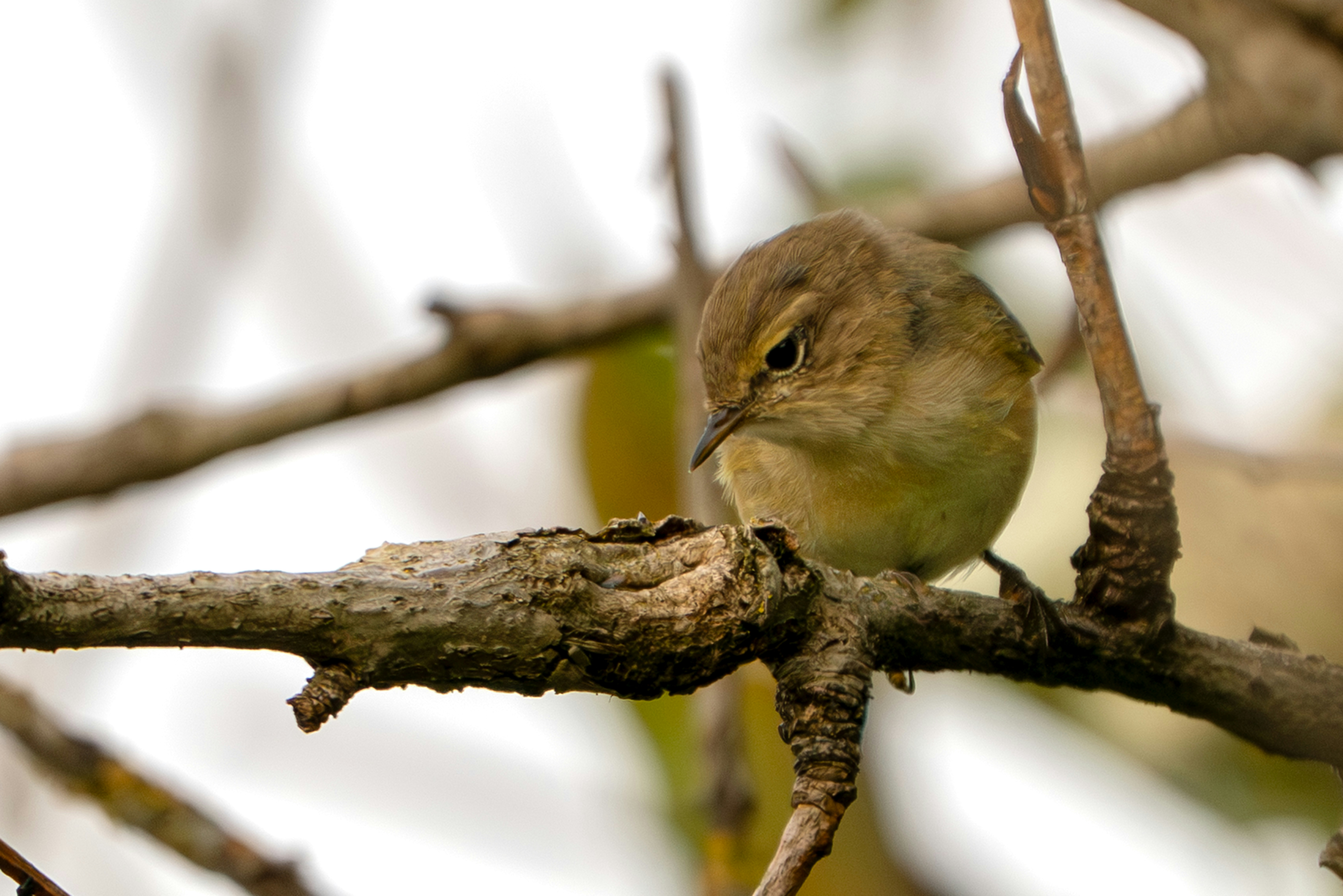 Photo by andruslukas