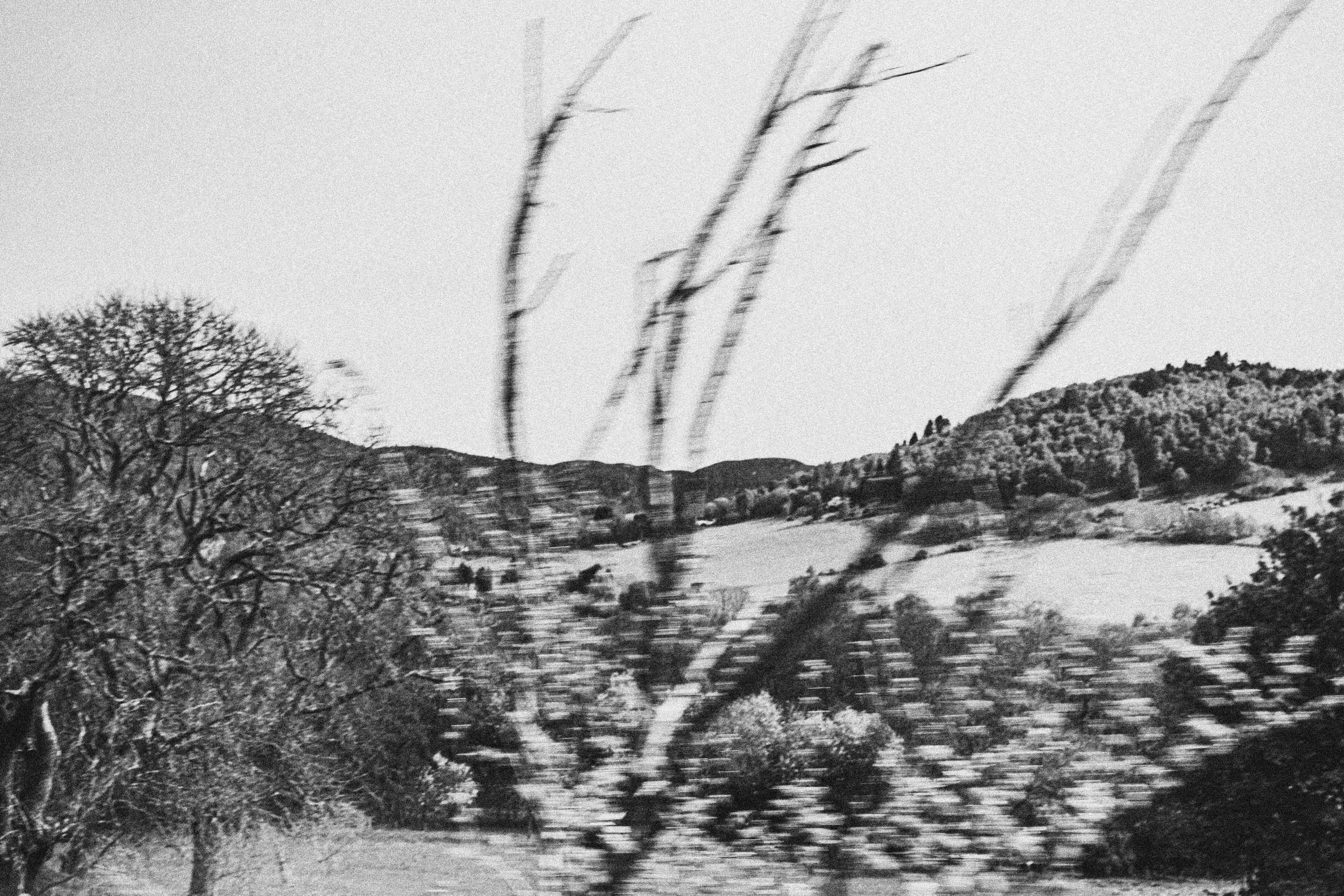 Photo by sarap_graph