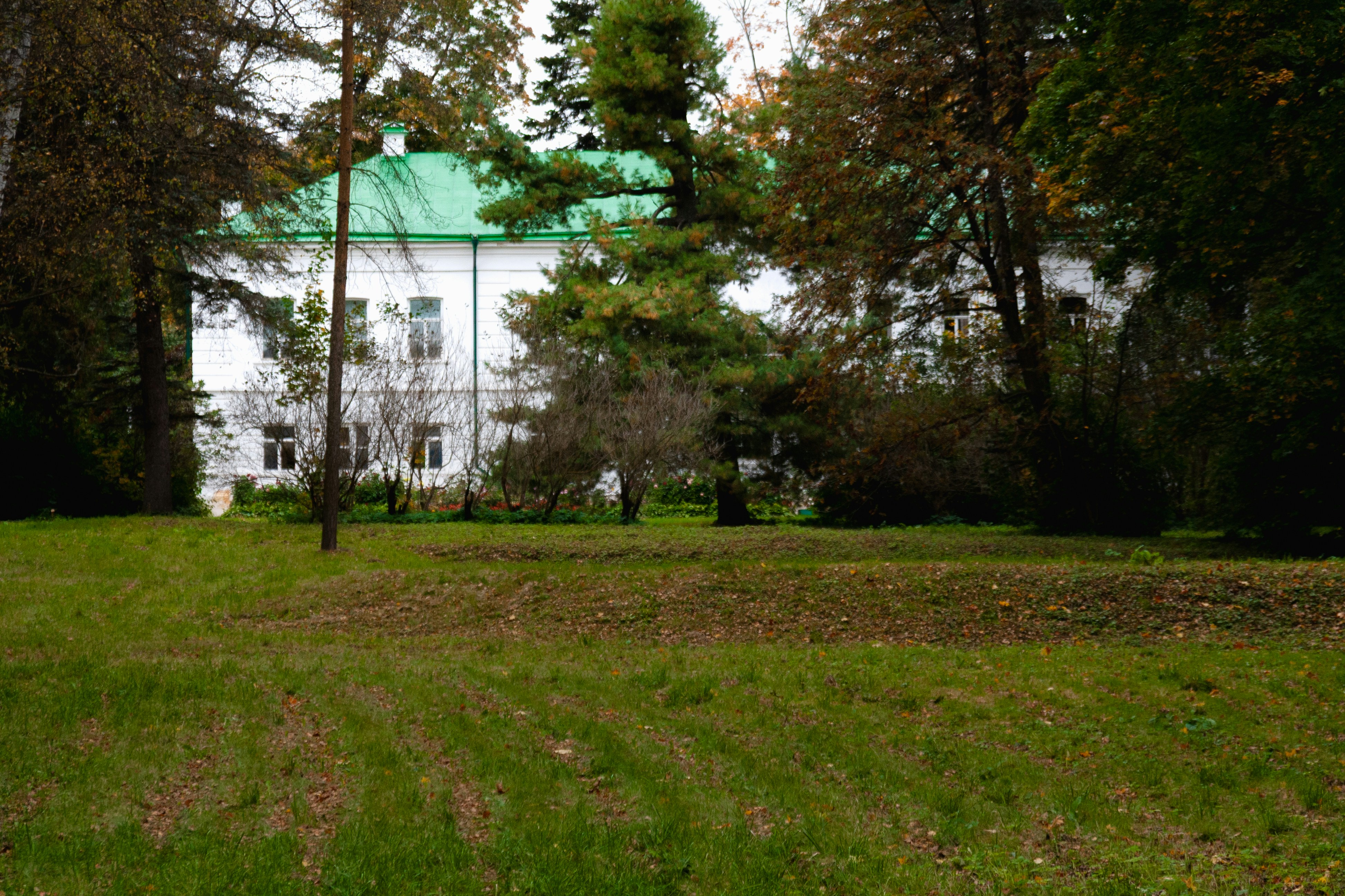 Photo by kulikovnik2