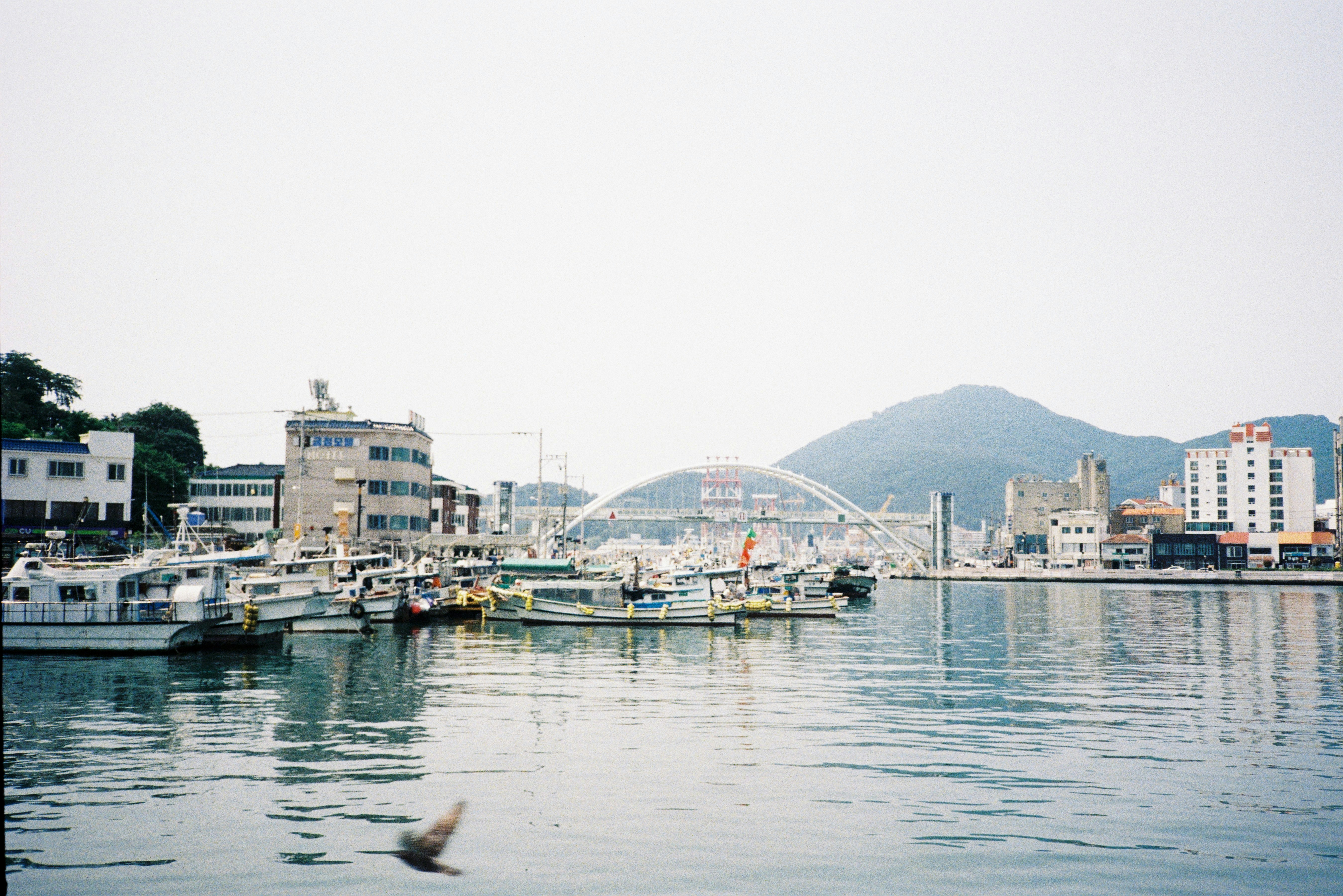 Boats docked in a harbor with buildings and mountains.