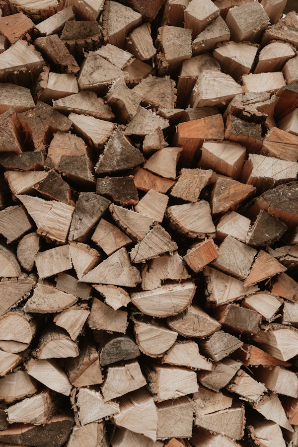 Ofenfertiges Kaminholz aus Buche, passgenau abgelängt