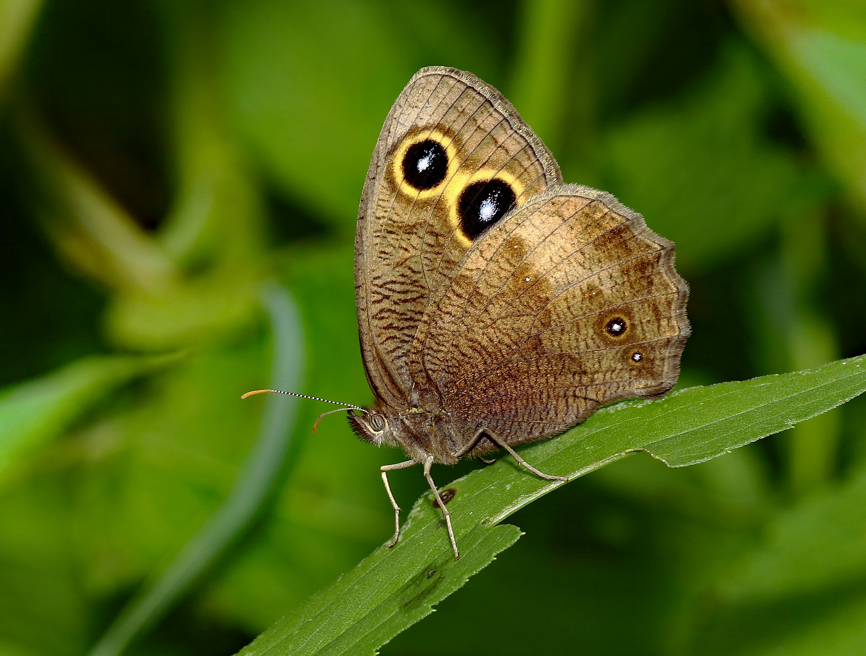 Photo by telliottmbamsc