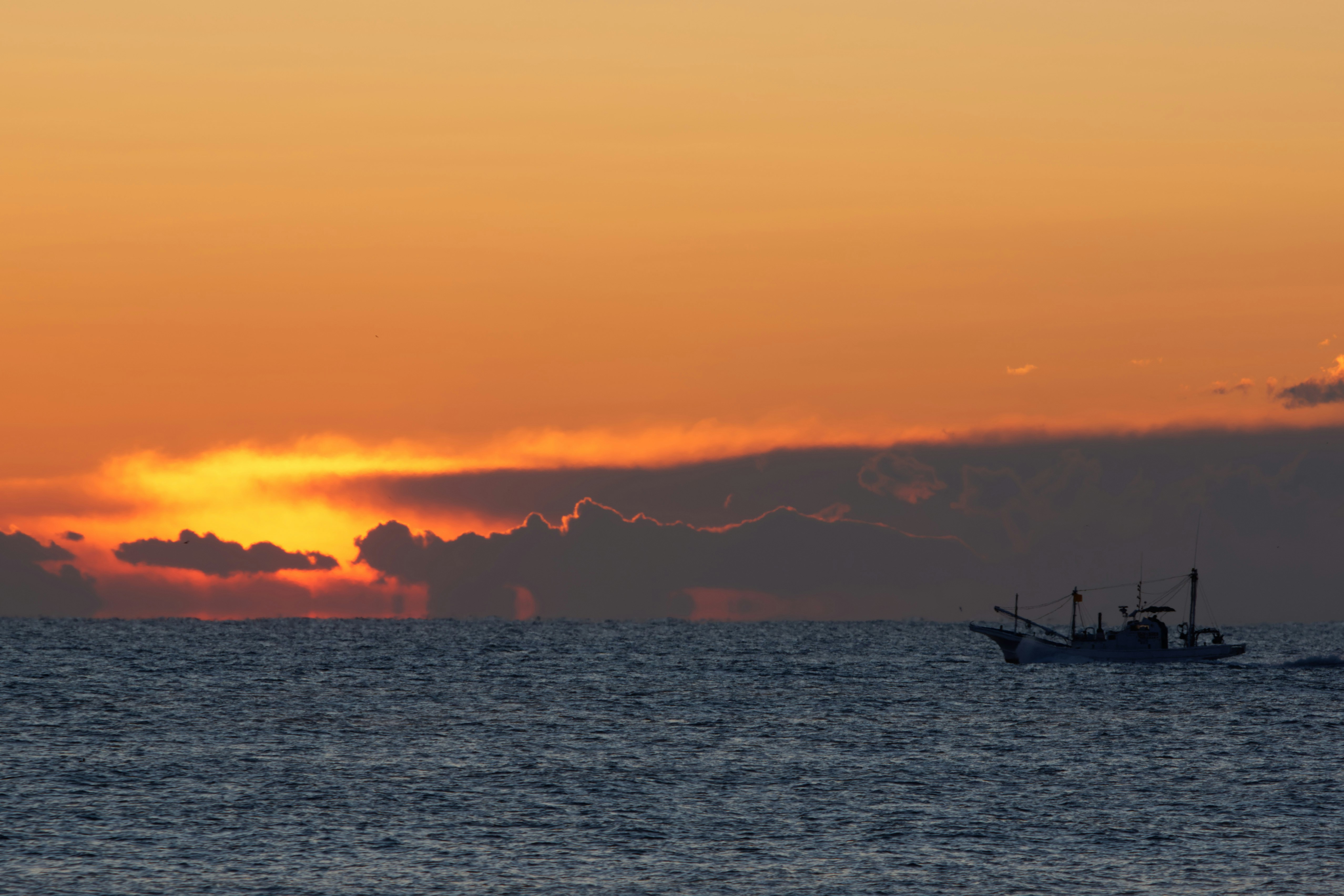 Photo by da_shika_photo