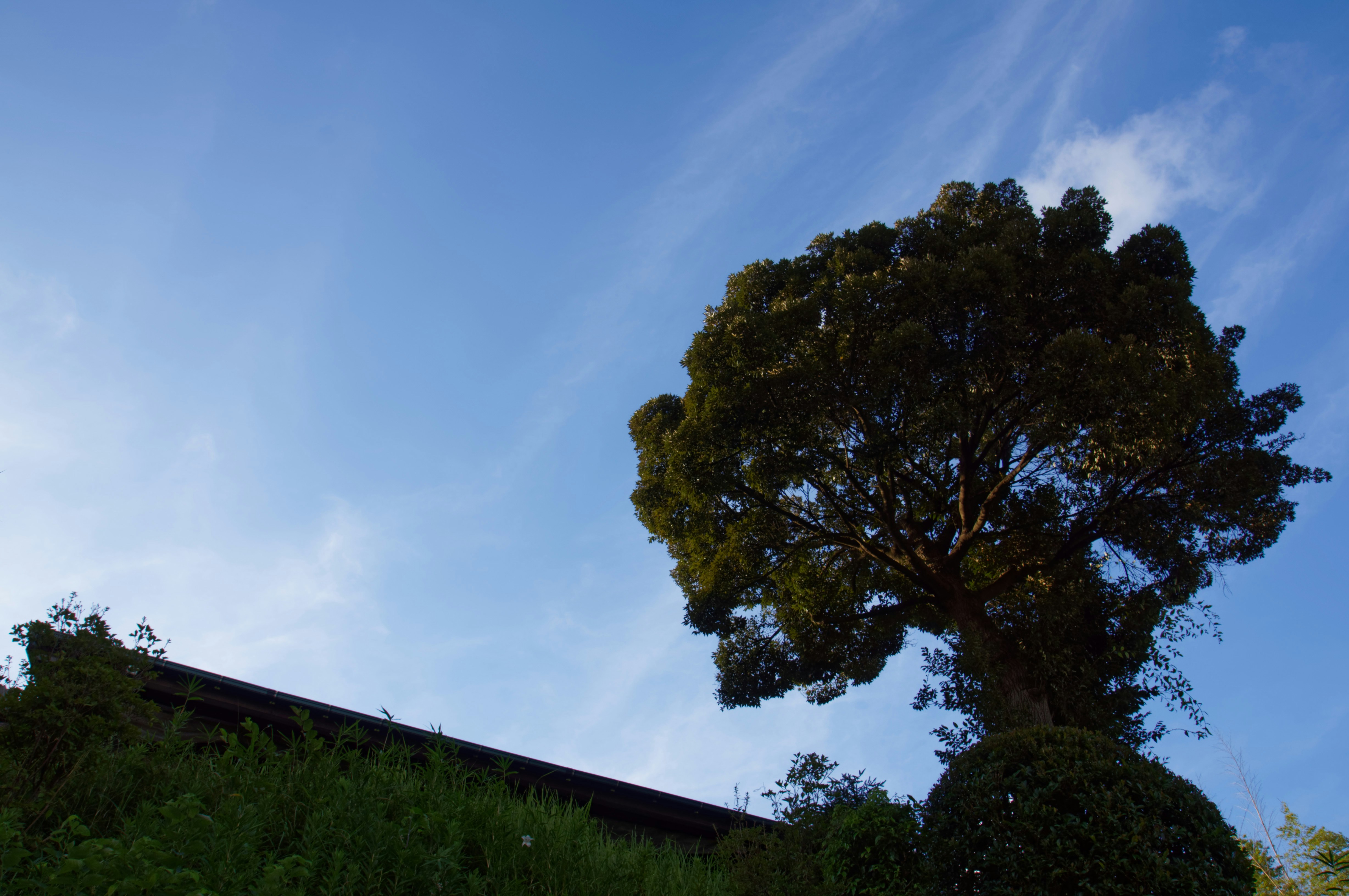 Photo by da_shika_photo