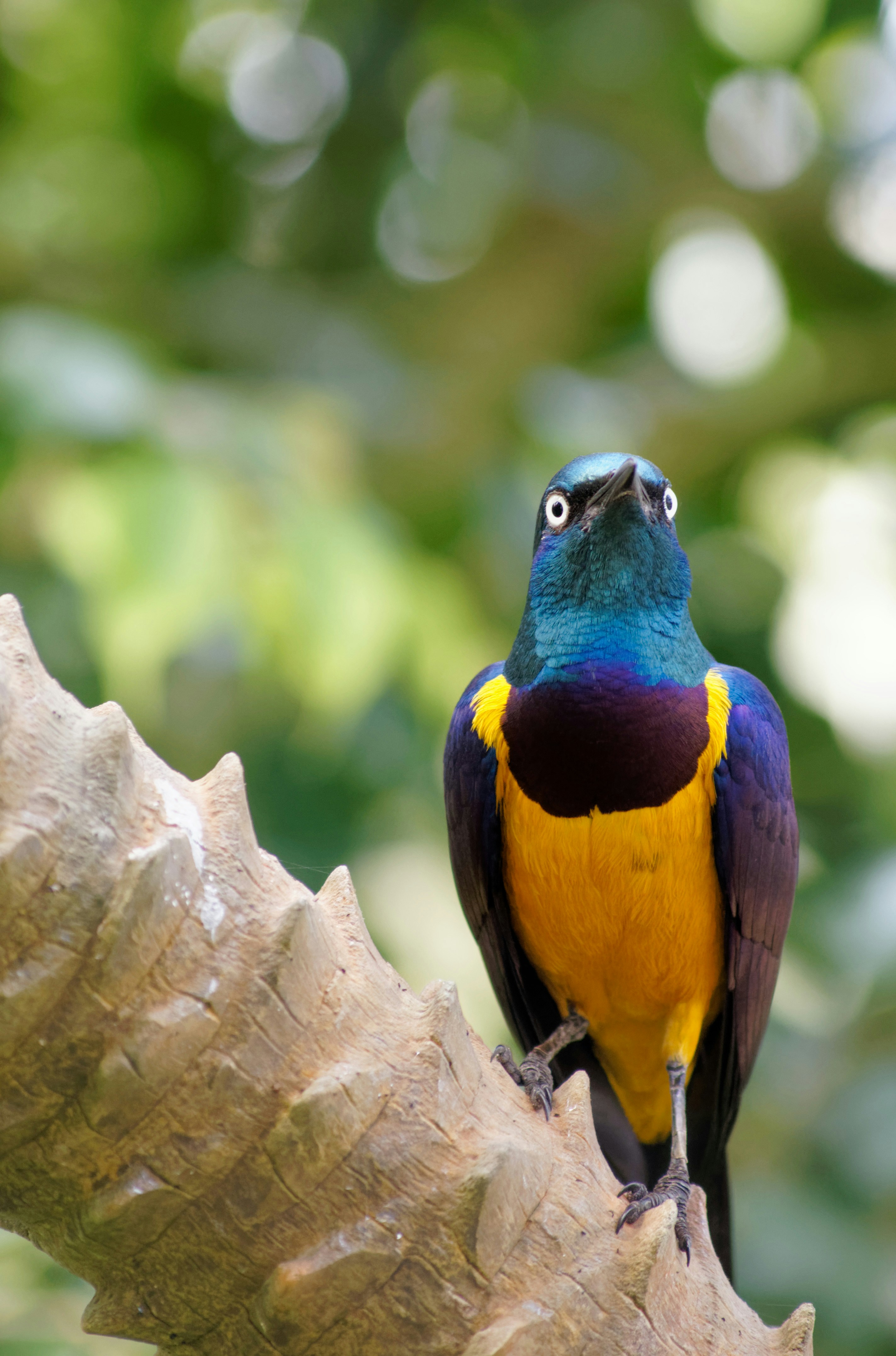 Photo by da_shika_photo