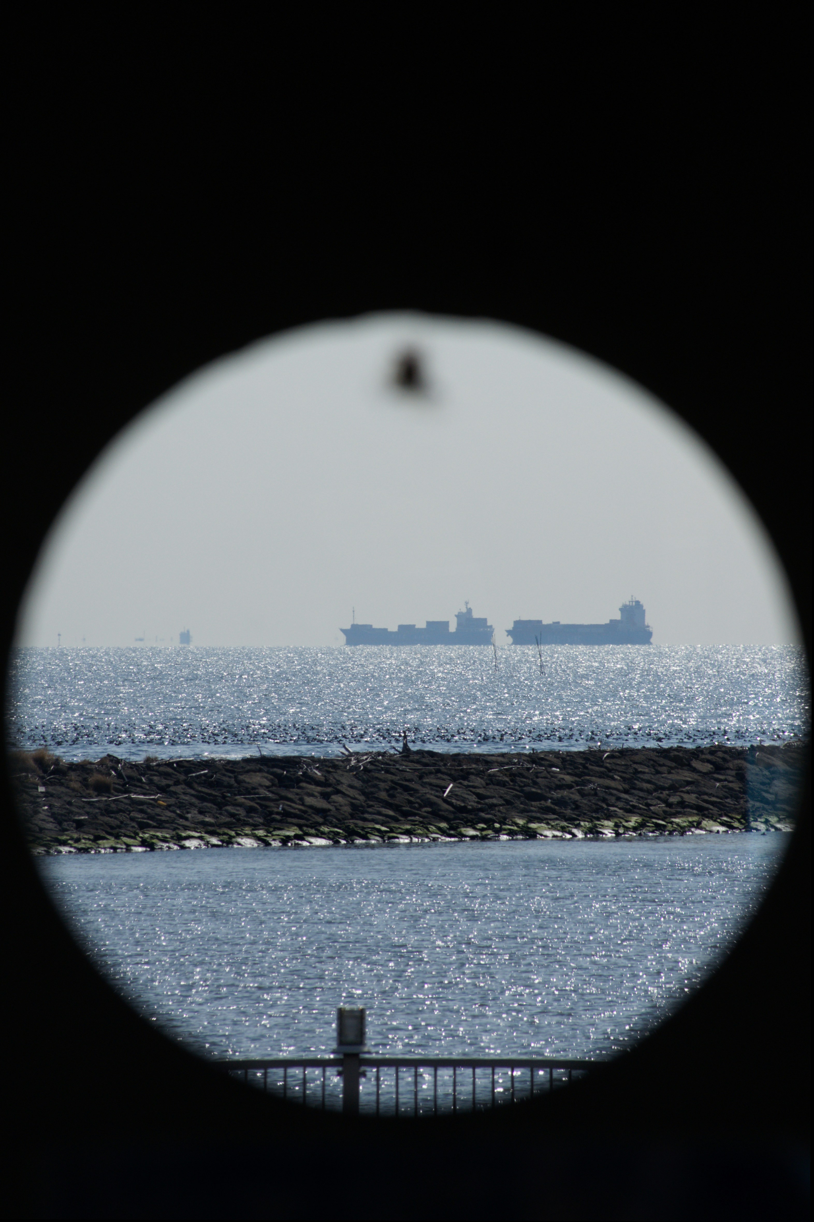 Cargo ships sailing on a shimmering ocean horizon.