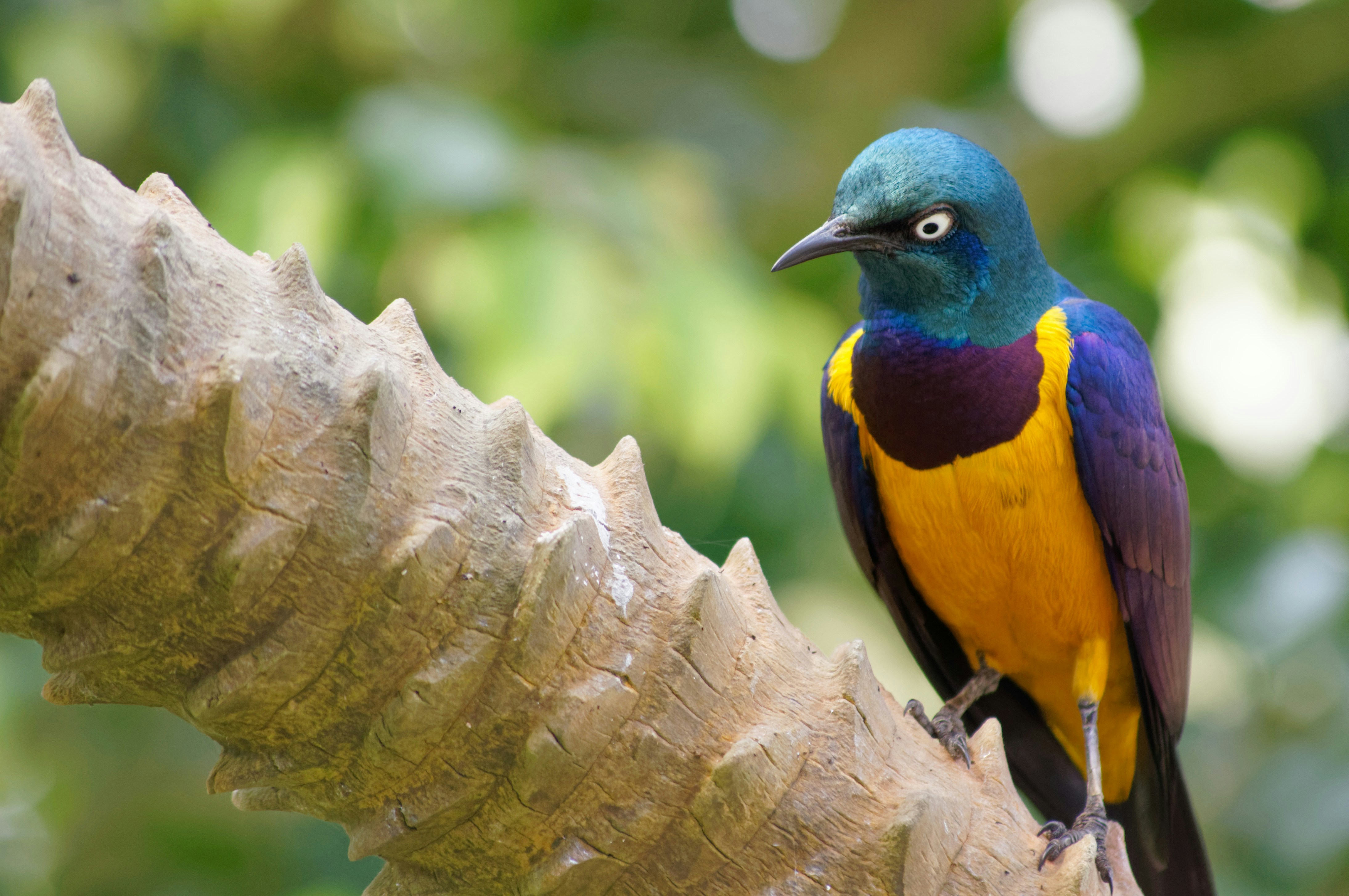 Photo by da_shika_photo