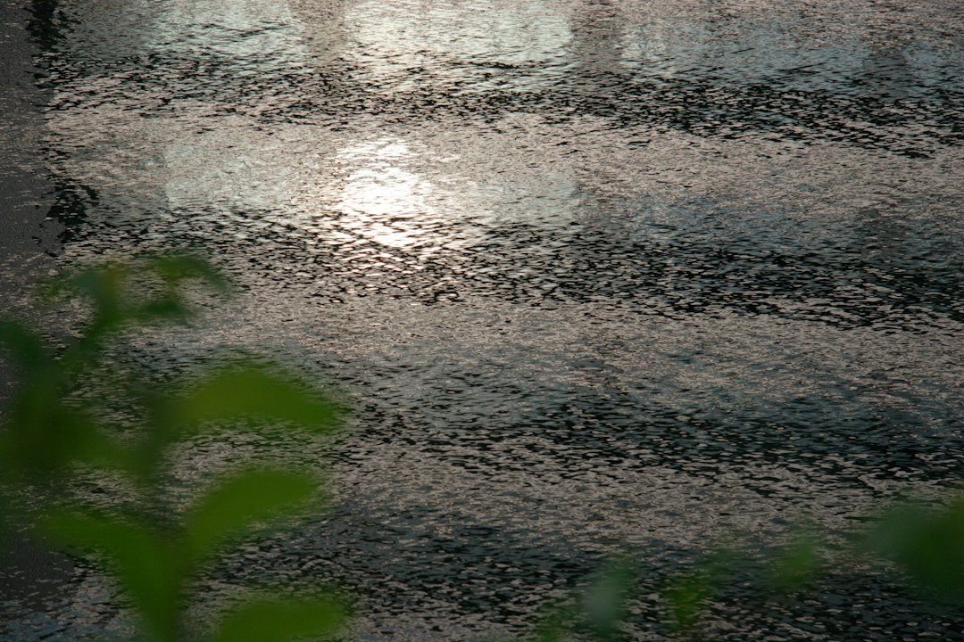 Sunlight reflecting on a textured, wet surface