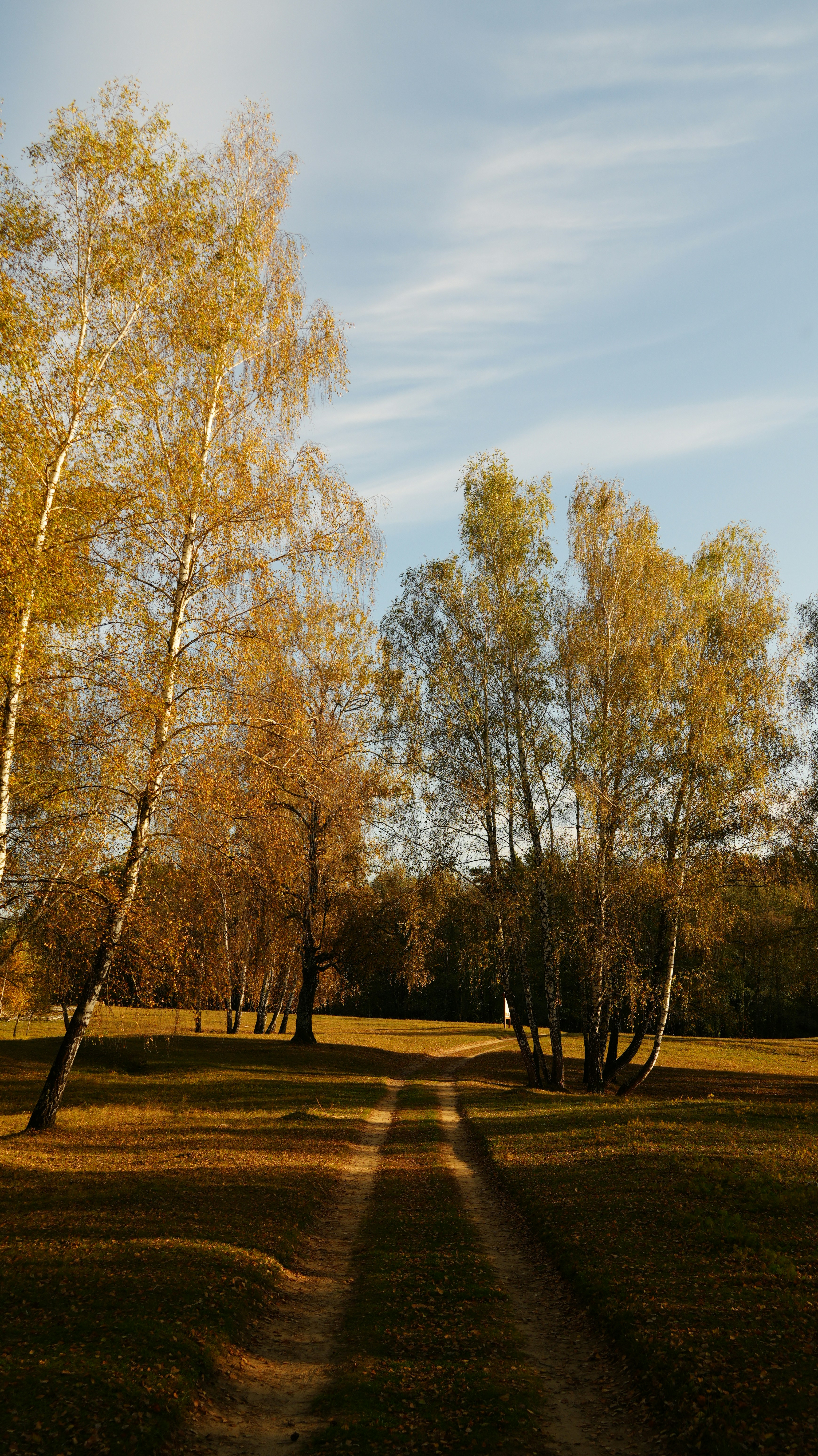 Photo by vladutremus