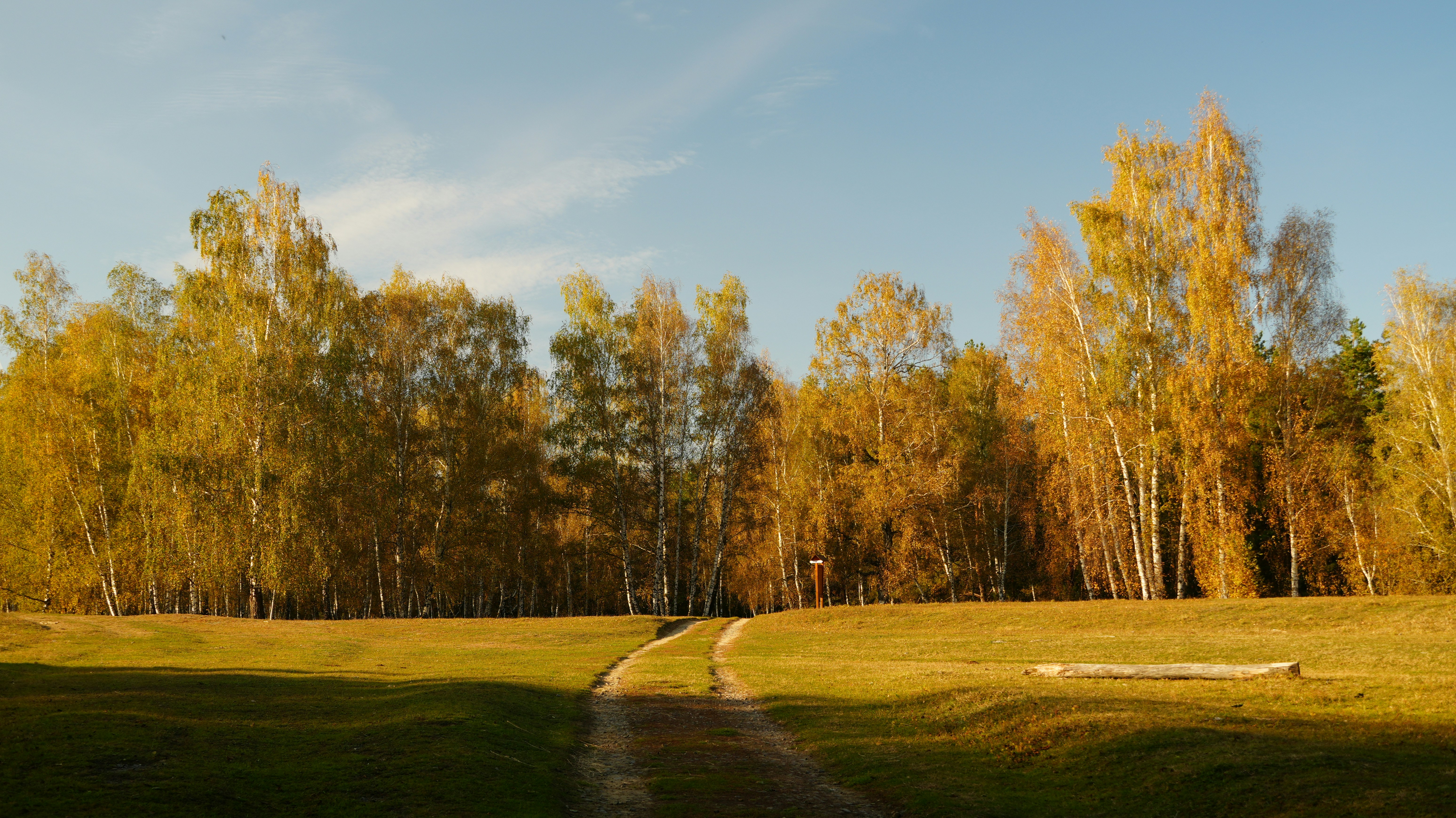 Golden autumn trees line a grassy path under blue sky.