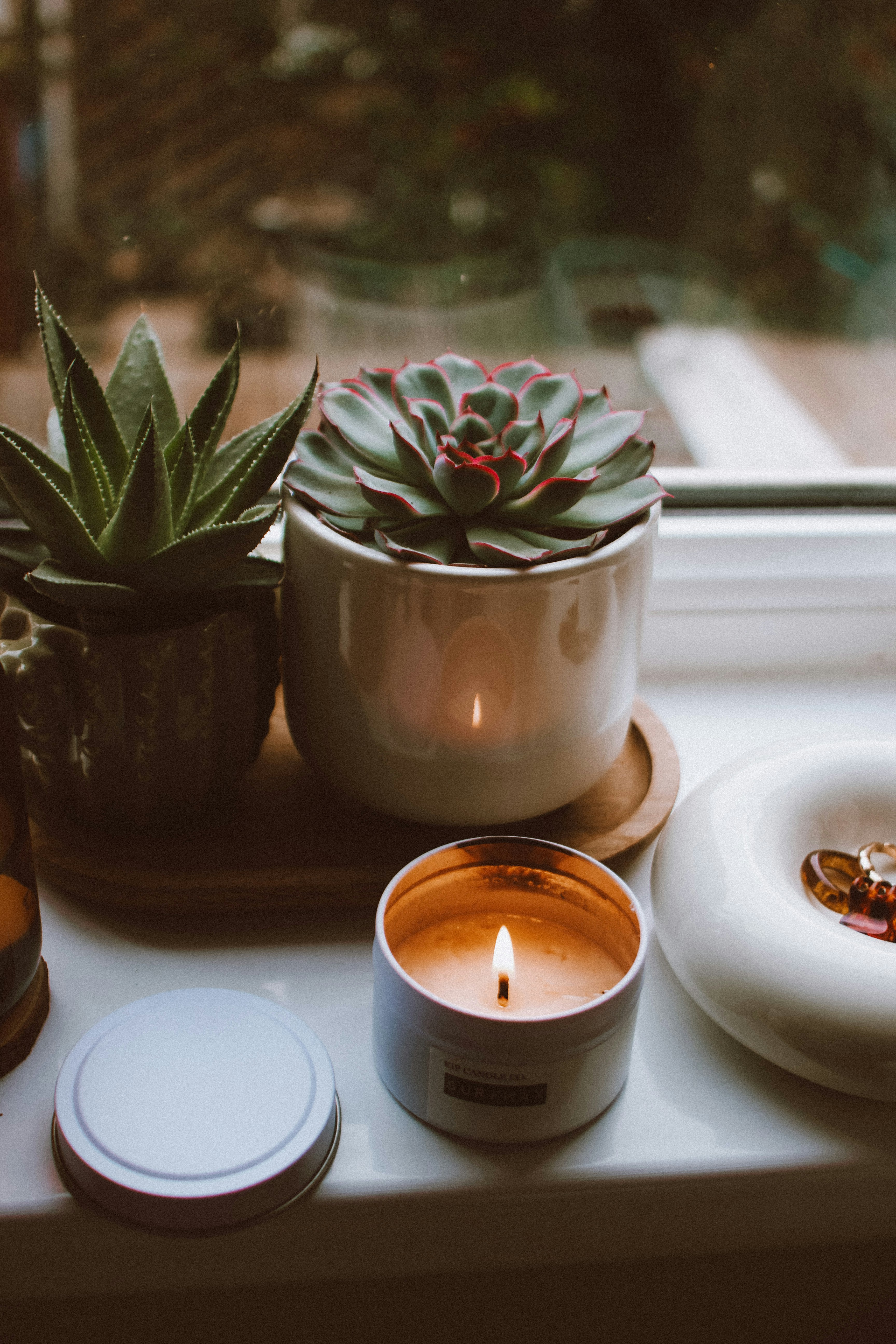 Photo by lanathegraves