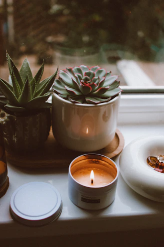 Two potted succulents and a lit candle on windowsill.