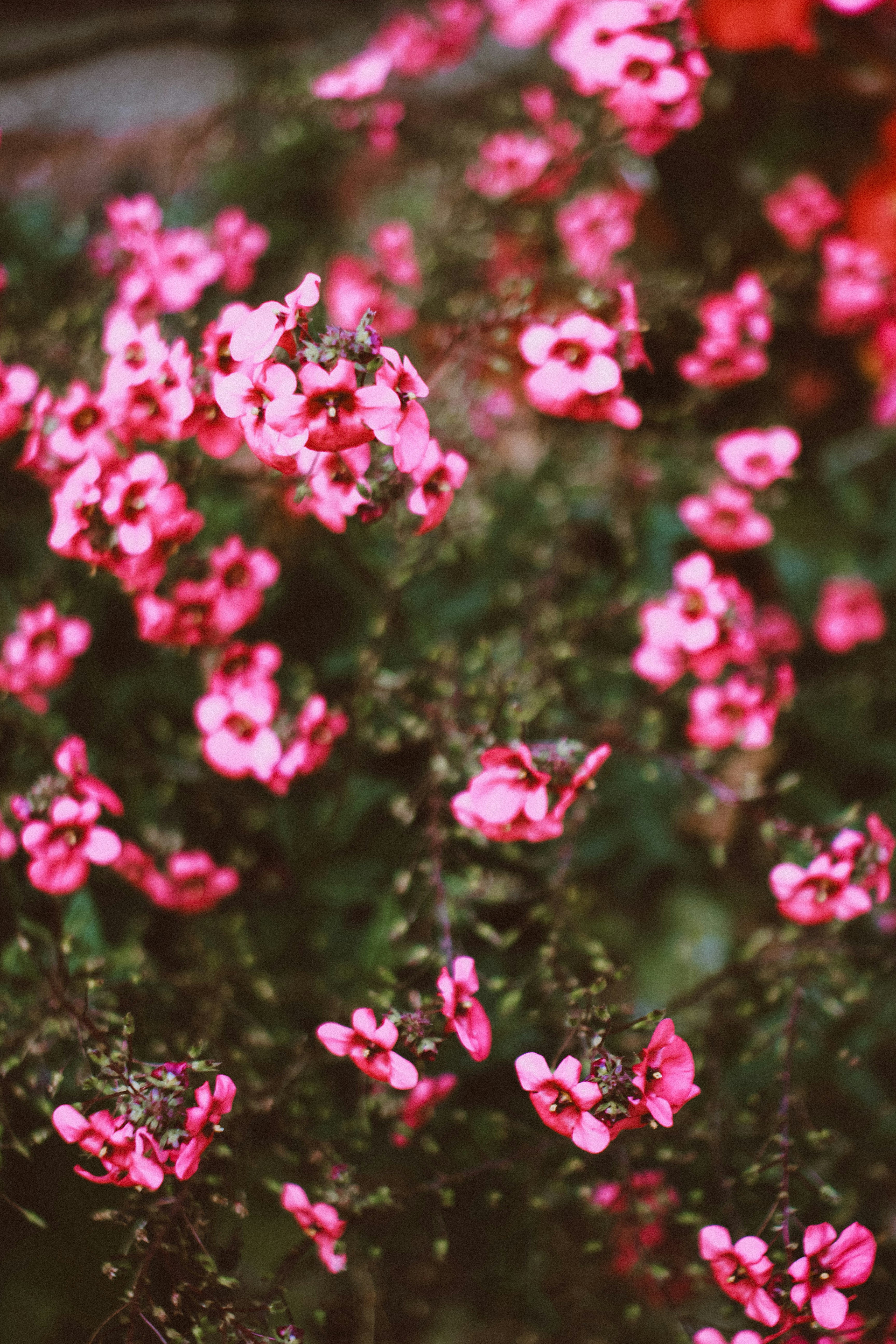 Photo by lanathegraves