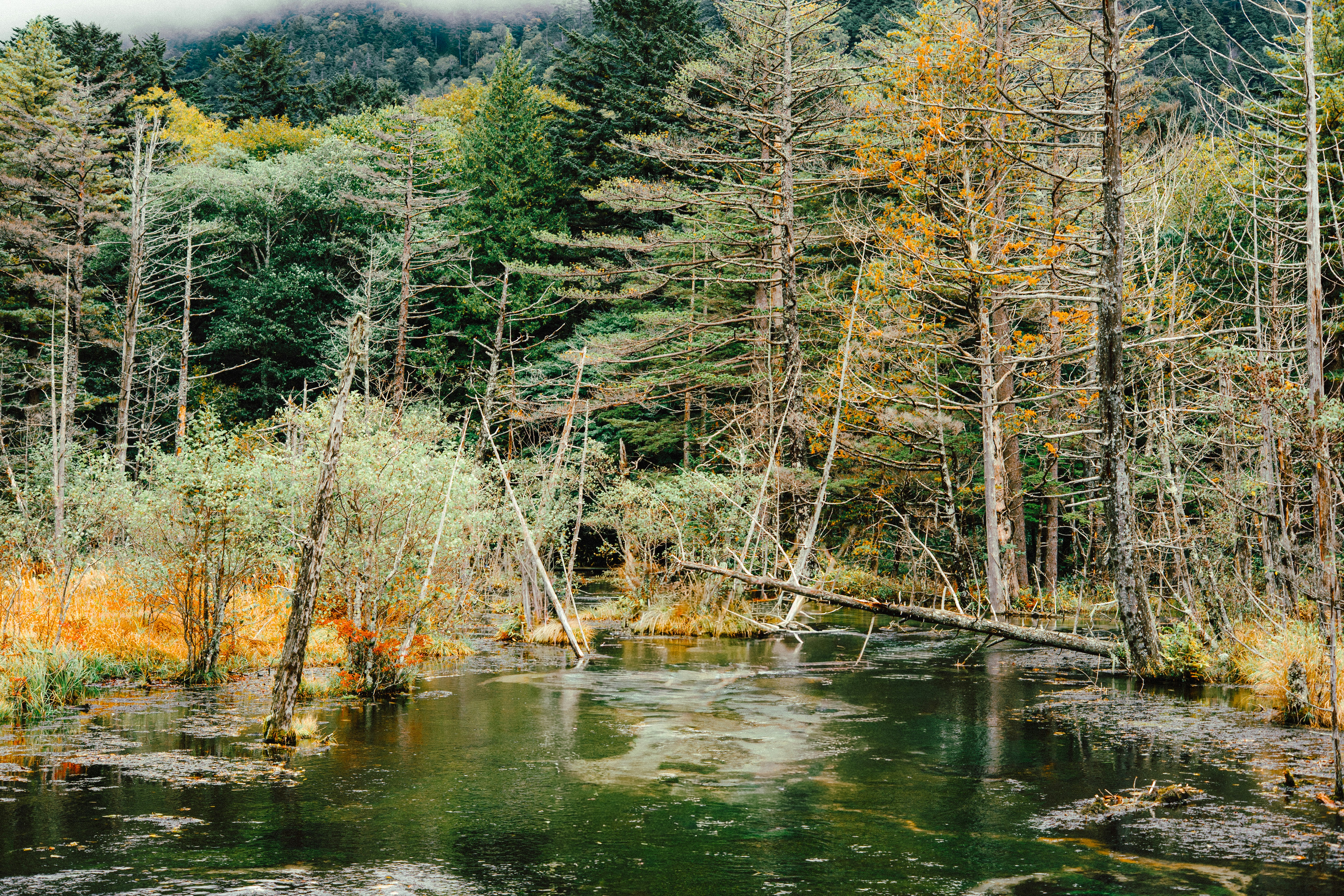 Photo by niuphotography