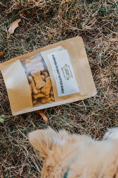 Best Dog Training Treats UK: High-Value Rewards That Motivate