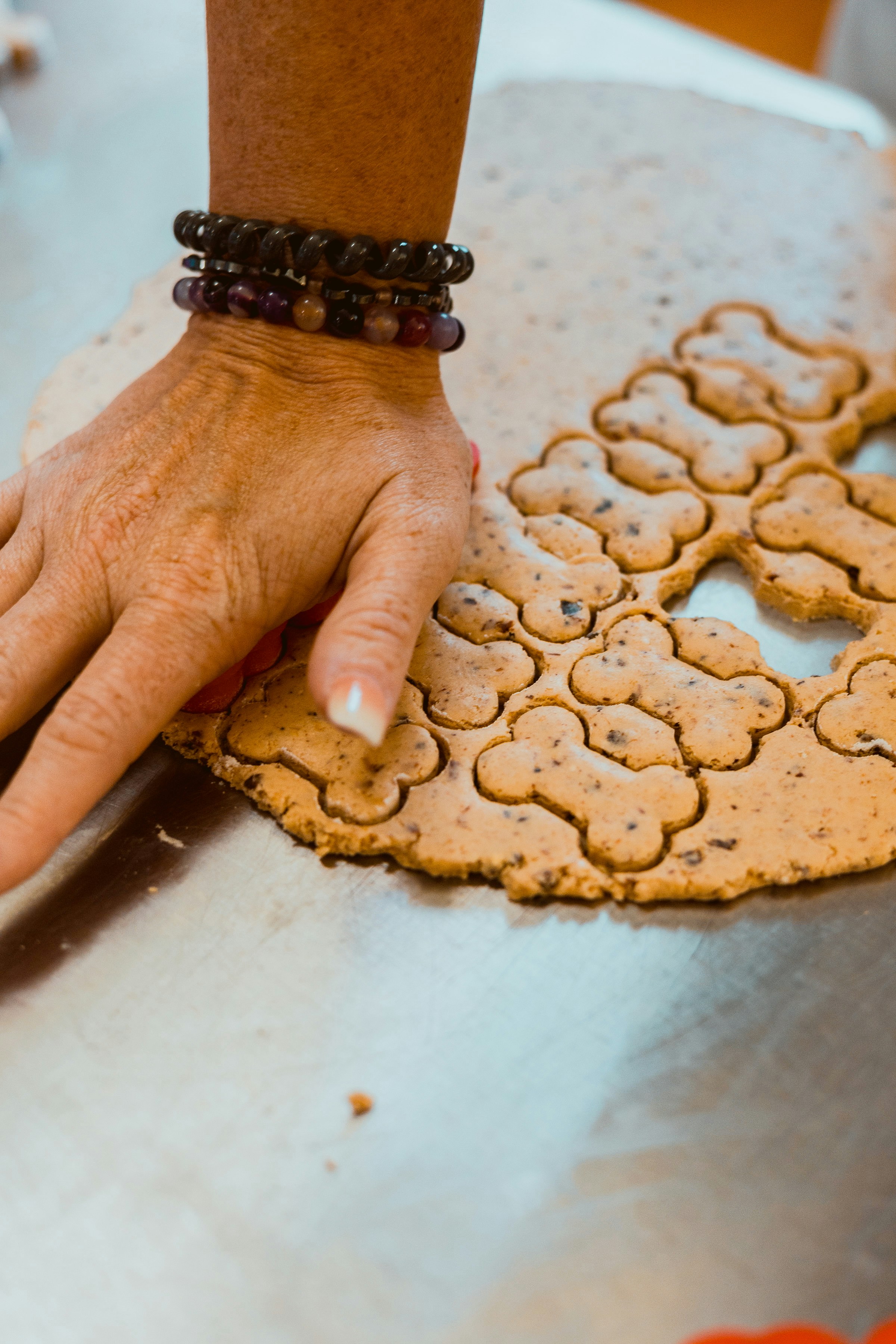 Dog enjoying organic food