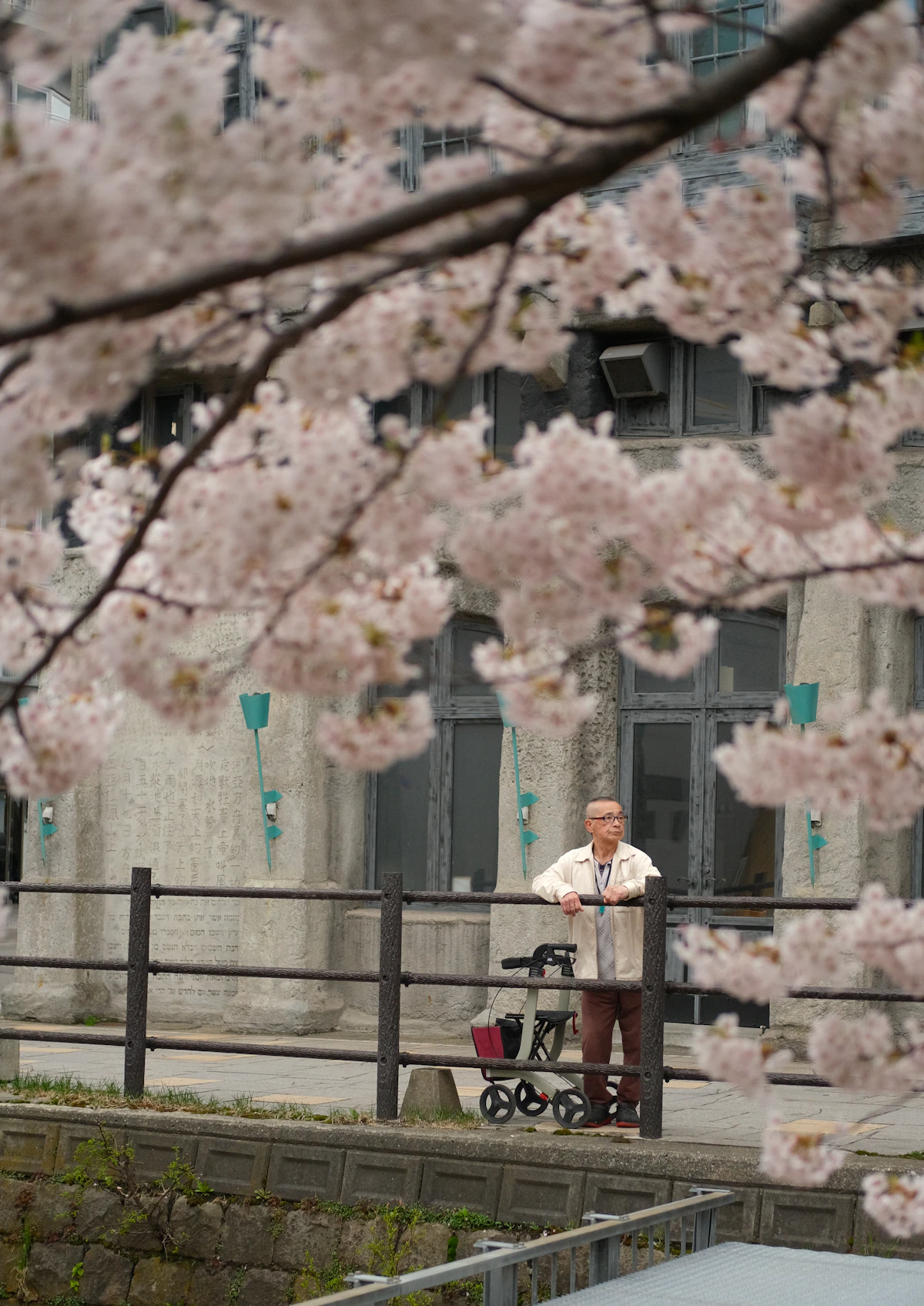 An older man using a walker while spending time outdoors