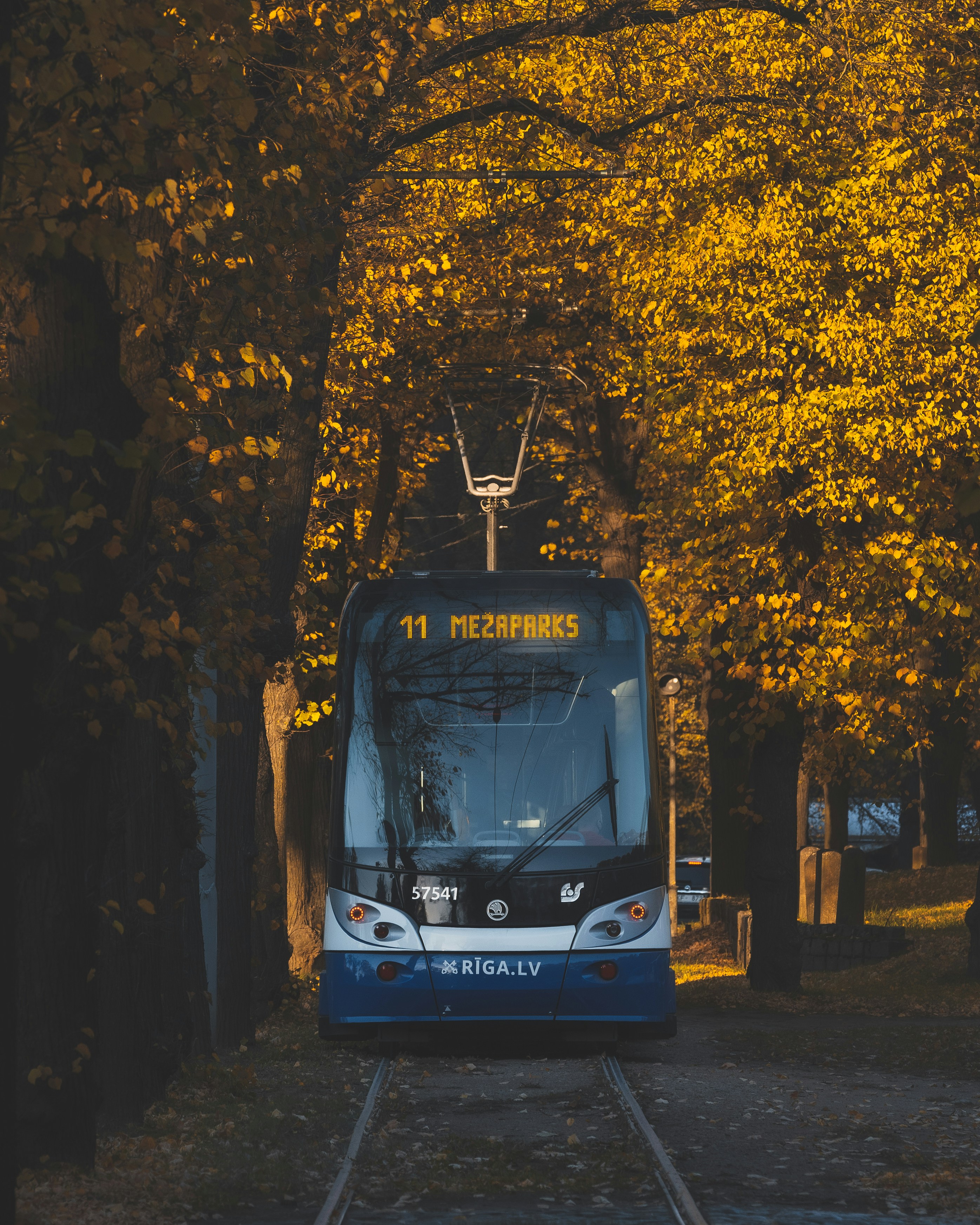 Un tram percorre una strada alberata autunnale.